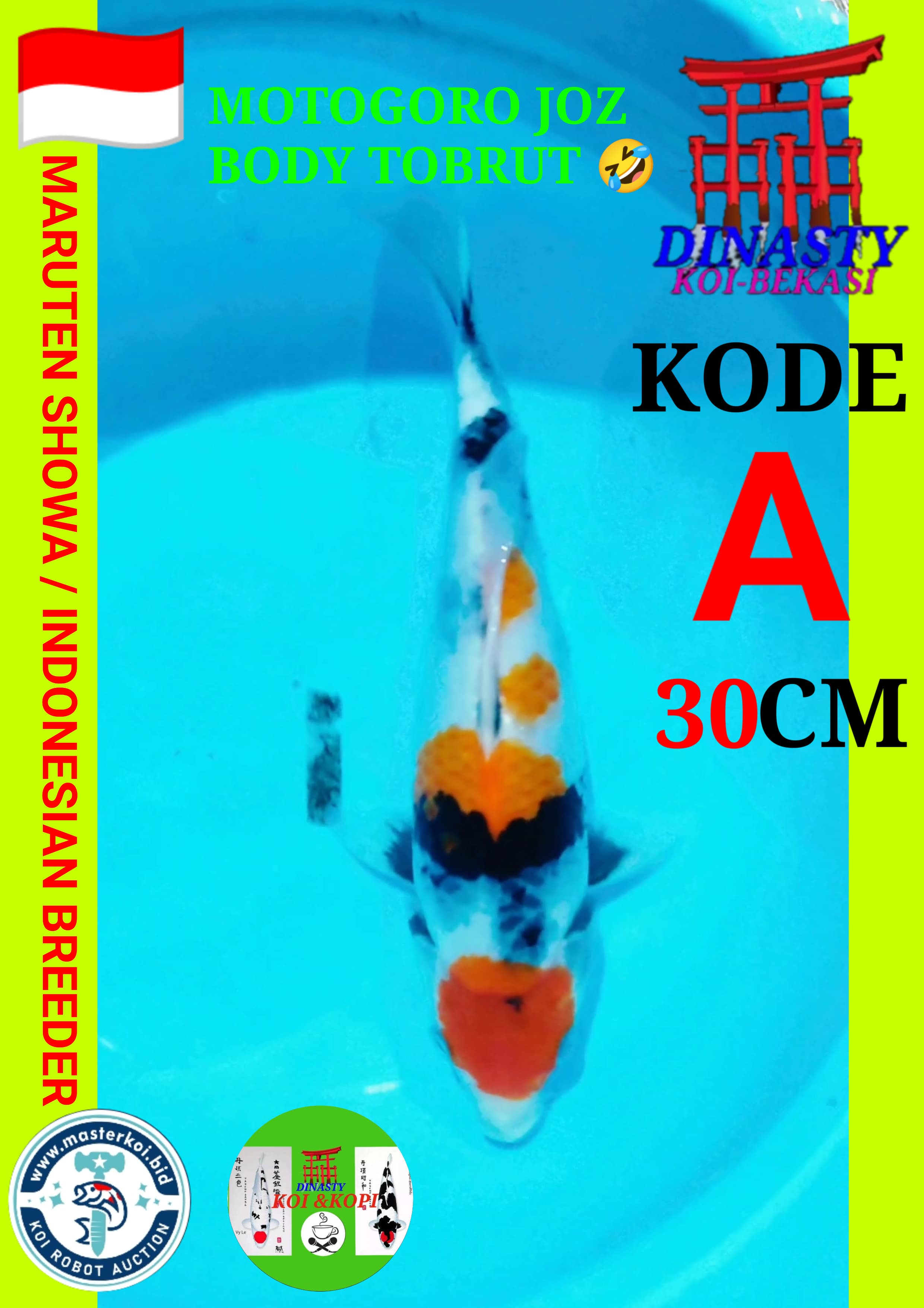 Lelang Koi Online, Jual Beli Ikan Koi, Pusat Jual Beli Koi, Info Lelang Koi Hari Ini, Platform Jual Beli Koi, Jual Beli Ikan Koi Online, Marketplace Ikan Koi, Jual Koi Terbaik, Tempat Beli Koi Berkualitas, Pasar Ikan Koi Online Terpercaya, Penjual Ikan Koi Terpercaya, Beli Koi Hias Online, Ikan Koi untuk Dijual, Koi Kualitas Terbaik, Toko Online Ikan Koi, Koi Hias Untuk Dijual, Jual Beli Ikan Koi Lokal, Koi Indonesia Online, Pusat Jual Beli Koi Terbesar
