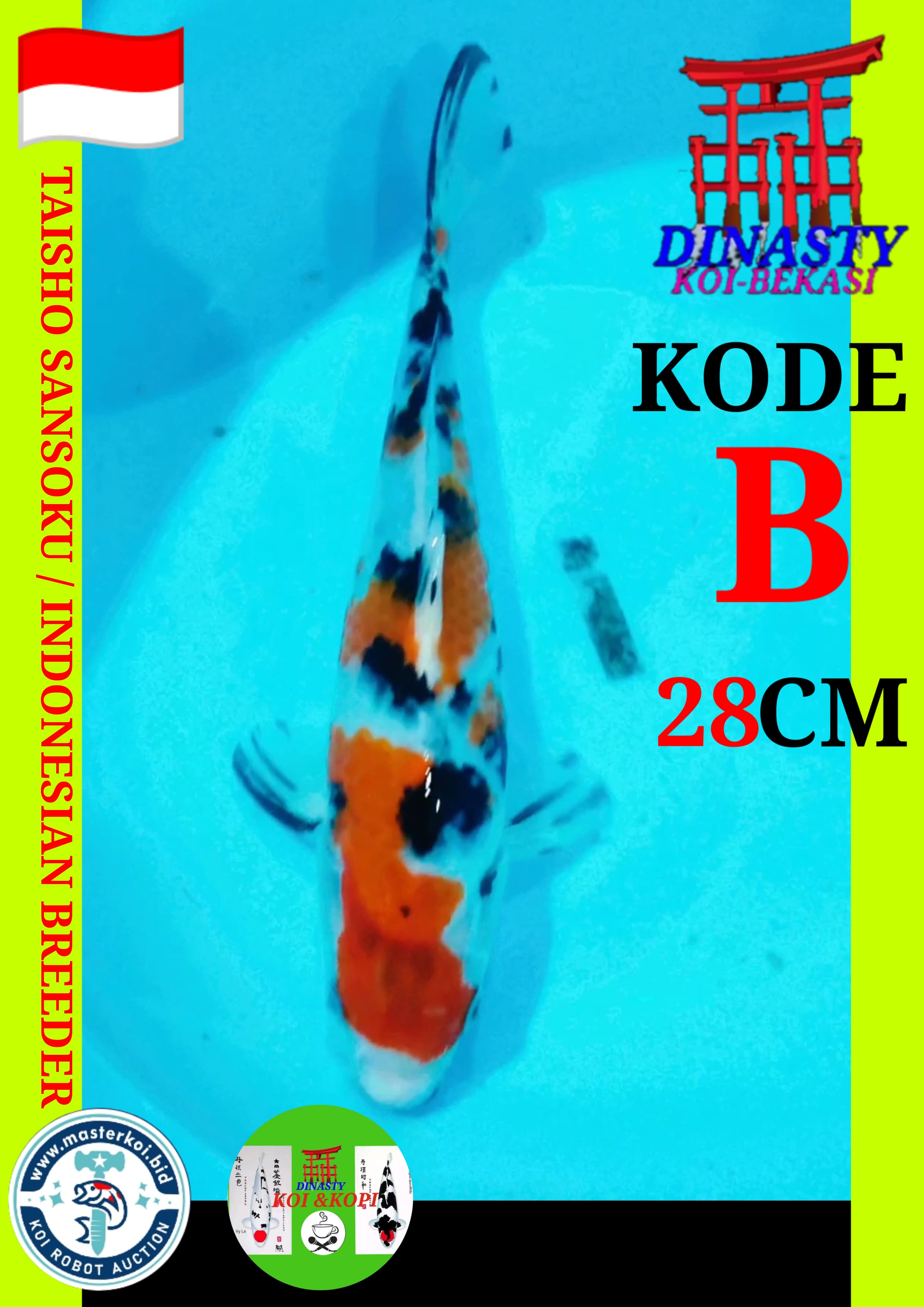 Lelang Koi Online, Jual Beli Ikan Koi, Pusat Jual Beli Koi, Info Lelang Koi Hari Ini, Platform Jual Beli Koi, Jual Beli Ikan Koi Online, Marketplace Ikan Koi, Jual Koi Terbaik, Tempat Beli Koi Berkualitas, Pasar Ikan Koi Online Terpercaya, Penjual Ikan Koi Terpercaya, Beli Koi Hias Online, Ikan Koi untuk Dijual, Koi Kualitas Terbaik, Toko Online Ikan Koi, Koi Hias Untuk Dijual, Jual Beli Ikan Koi Lokal, Koi Indonesia Online, Pusat Jual Beli Koi Terbesar