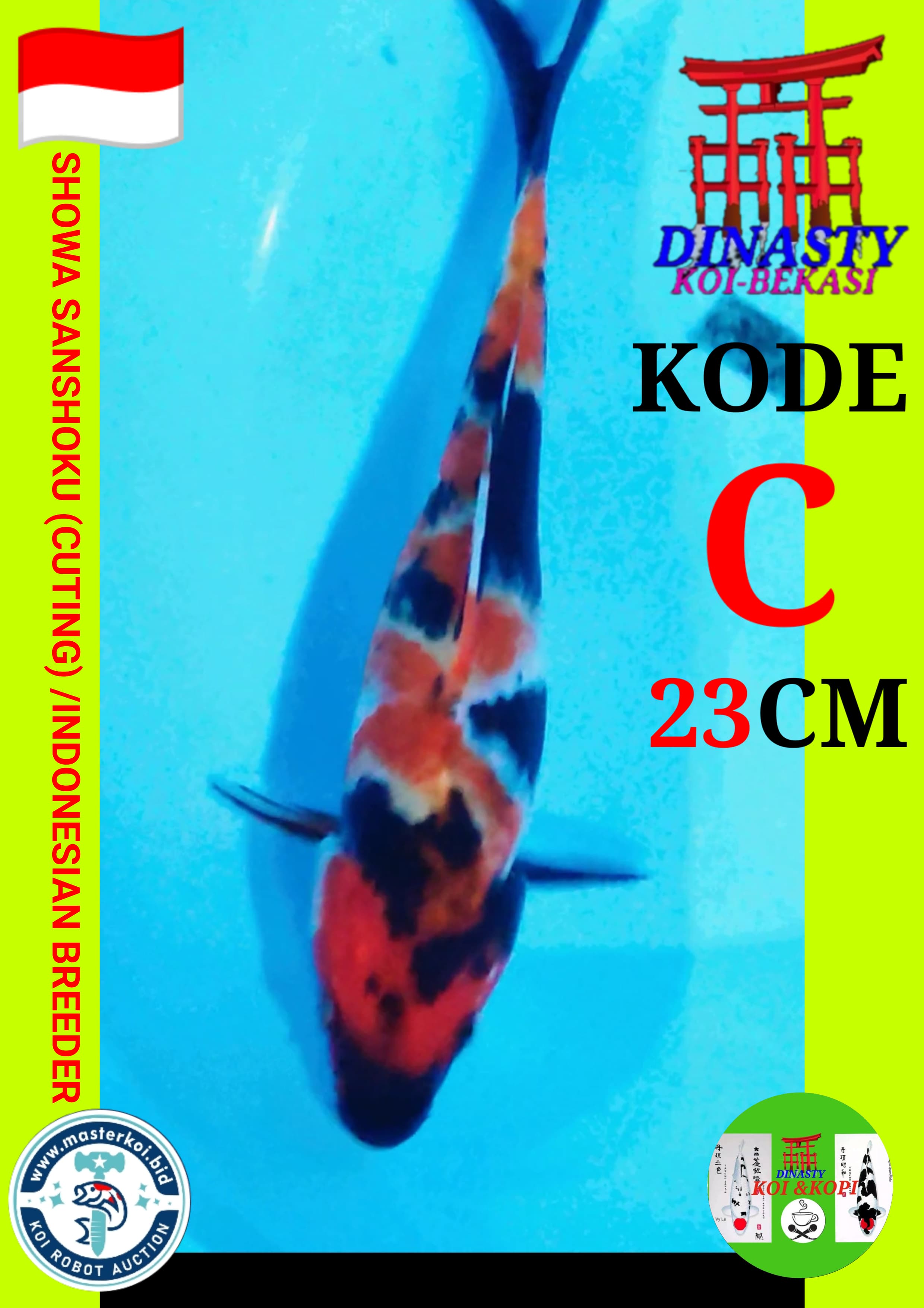 Lelang Koi Online, Jual Beli Ikan Koi, Pusat Jual Beli Koi, Info Lelang Koi Hari Ini, Platform Jual Beli Koi, Jual Beli Ikan Koi Online, Marketplace Ikan Koi, Jual Koi Terbaik, Tempat Beli Koi Berkualitas, Pasar Ikan Koi Online Terpercaya, Penjual Ikan Koi Terpercaya, Beli Koi Hias Online, Ikan Koi untuk Dijual, Koi Kualitas Terbaik, Toko Online Ikan Koi, Koi Hias Untuk Dijual, Jual Beli Ikan Koi Lokal, Koi Indonesia Online, Pusat Jual Beli Koi Terbesar