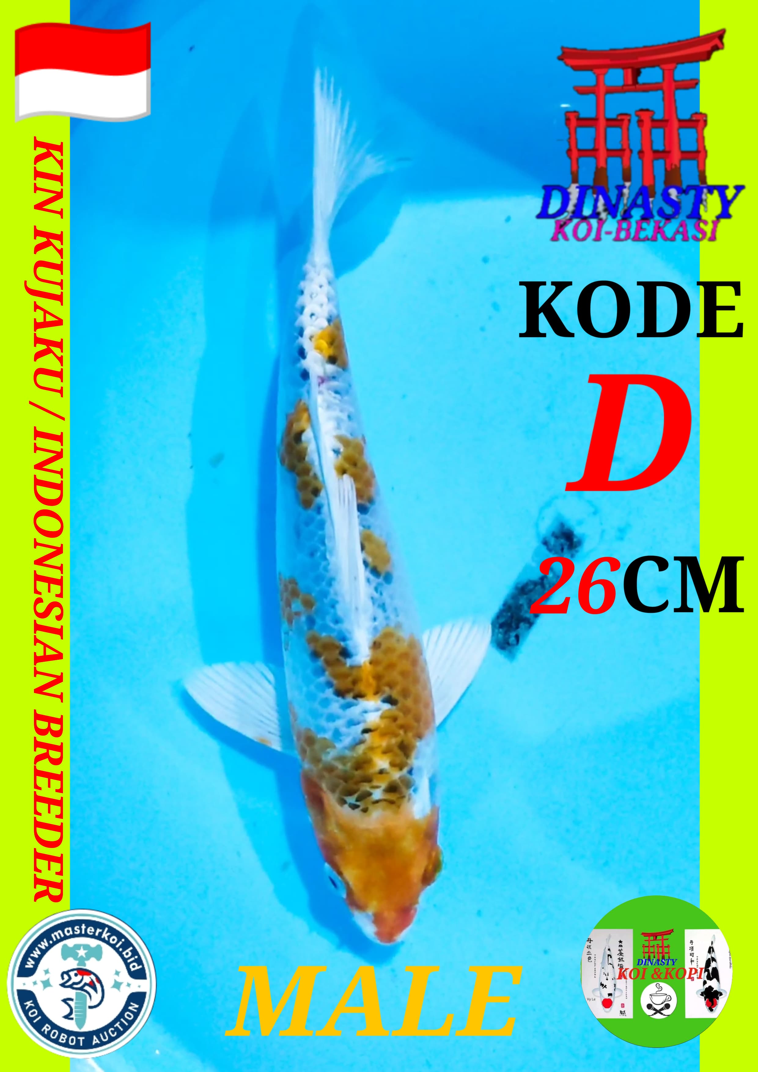 Lelang Koi Online, Jual Beli Ikan Koi, Pusat Jual Beli Koi, Info Lelang Koi Hari Ini, Platform Jual Beli Koi, Jual Beli Ikan Koi Online, Marketplace Ikan Koi, Jual Koi Terbaik, Tempat Beli Koi Berkualitas, Pasar Ikan Koi Online Terpercaya, Penjual Ikan Koi Terpercaya, Beli Koi Hias Online, Ikan Koi untuk Dijual, Koi Kualitas Terbaik, Toko Online Ikan Koi, Koi Hias Untuk Dijual, Jual Beli Ikan Koi Lokal, Koi Indonesia Online, Pusat Jual Beli Koi Terbesar