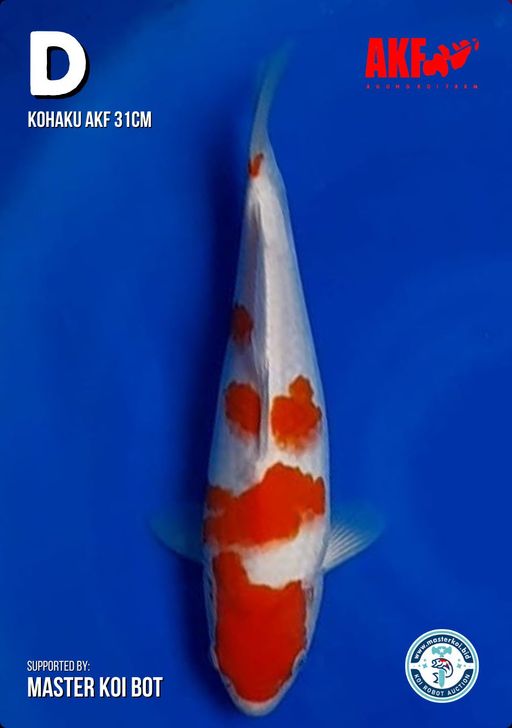 Lelang Koi Online, Jual Beli Ikan Koi, Pusat Jual Beli Koi, Info Lelang Koi Hari Ini, Platform Jual Beli Koi, Jual Beli Ikan Koi Online, Marketplace Ikan Koi, Jual Koi Terbaik, Tempat Beli Koi Berkualitas, Pasar Ikan Koi Online Terpercaya, Penjual Ikan Koi Terpercaya, Beli Koi Hias Online, Ikan Koi untuk Dijual, Koi Kualitas Terbaik, Toko Online Ikan Koi, Koi Hias Untuk Dijual, Jual Beli Ikan Koi Lokal, Koi Indonesia Online, Pusat Jual Beli Koi Terbesar