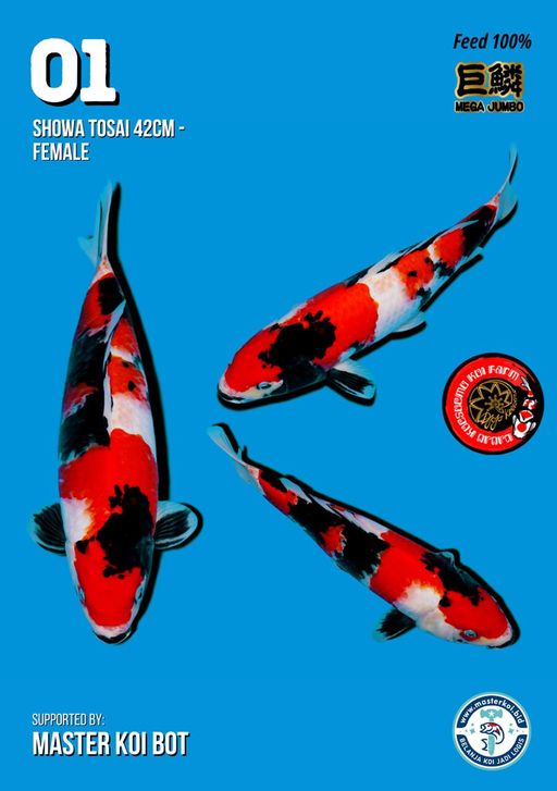 Lelang Koi Online, Jual Beli Ikan Koi, Pusat Jual Beli Koi, Info Lelang Koi Hari Ini, Platform Jual Beli Koi, Jual Beli Ikan Koi Online, Marketplace Ikan Koi, Jual Koi Terbaik, Tempat Beli Koi Berkualitas, Pasar Ikan Koi Online Terpercaya, Penjual Ikan Koi Terpercaya, Beli Koi Hias Online, Ikan Koi untuk Dijual, Koi Kualitas Terbaik, Toko Online Ikan Koi, Koi Hias Untuk Dijual, Jual Beli Ikan Koi Lokal, Koi Indonesia Online, Pusat Jual Beli Koi Terbesar