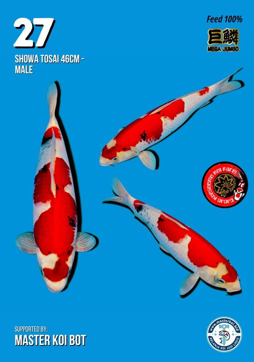 Lelang Koi Online, Jual Beli Ikan Koi, Pusat Jual Beli Koi, Info Lelang Koi Hari Ini, Platform Jual Beli Koi, Jual Beli Ikan Koi Online, Marketplace Ikan Koi, Jual Koi Terbaik, Tempat Beli Koi Berkualitas, Pasar Ikan Koi Online Terpercaya, Penjual Ikan Koi Terpercaya, Beli Koi Hias Online, Ikan Koi untuk Dijual, Koi Kualitas Terbaik, Toko Online Ikan Koi, Koi Hias Untuk Dijual, Jual Beli Ikan Koi Lokal, Koi Indonesia Online, Pusat Jual Beli Koi Terbesar