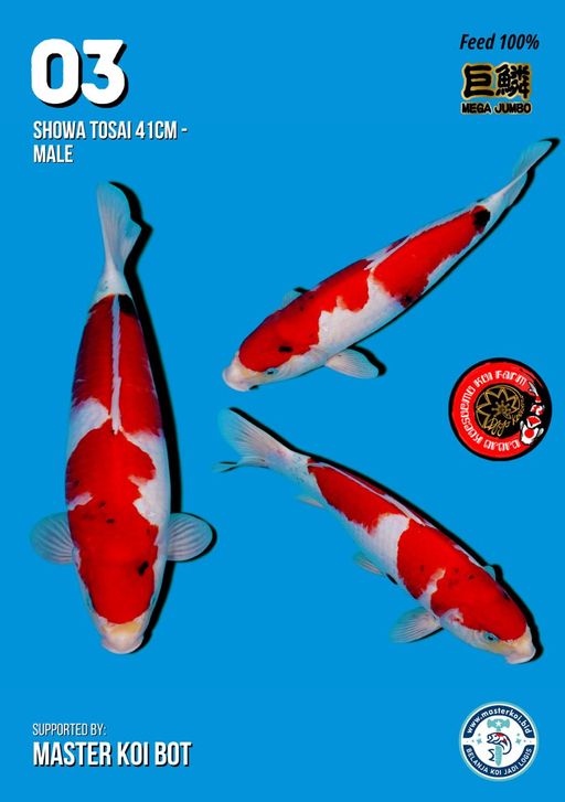 Lelang Koi Online, Jual Beli Ikan Koi, Pusat Jual Beli Koi, Info Lelang Koi Hari Ini, Platform Jual Beli Koi, Jual Beli Ikan Koi Online, Marketplace Ikan Koi, Jual Koi Terbaik, Tempat Beli Koi Berkualitas, Pasar Ikan Koi Online Terpercaya, Penjual Ikan Koi Terpercaya, Beli Koi Hias Online, Ikan Koi untuk Dijual, Koi Kualitas Terbaik, Toko Online Ikan Koi, Koi Hias Untuk Dijual, Jual Beli Ikan Koi Lokal, Koi Indonesia Online, Pusat Jual Beli Koi Terbesar