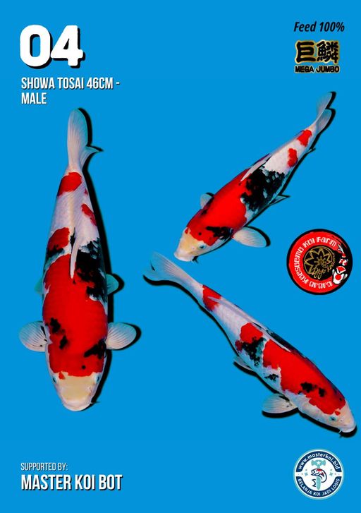 Lelang Koi Online, Jual Beli Ikan Koi, Pusat Jual Beli Koi, Info Lelang Koi Hari Ini, Platform Jual Beli Koi, Jual Beli Ikan Koi Online, Marketplace Ikan Koi, Jual Koi Terbaik, Tempat Beli Koi Berkualitas, Pasar Ikan Koi Online Terpercaya, Penjual Ikan Koi Terpercaya, Beli Koi Hias Online, Ikan Koi untuk Dijual, Koi Kualitas Terbaik, Toko Online Ikan Koi, Koi Hias Untuk Dijual, Jual Beli Ikan Koi Lokal, Koi Indonesia Online, Pusat Jual Beli Koi Terbesar