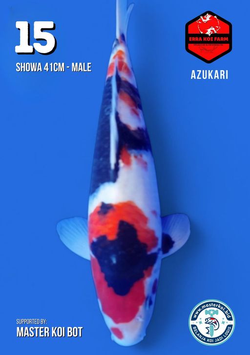 Lelang Koi Online, Jual Beli Ikan Koi, Pusat Jual Beli Koi, Info Lelang Koi Hari Ini, Platform Jual Beli Koi, Jual Beli Ikan Koi Online, Marketplace Ikan Koi, Jual Koi Terbaik, Tempat Beli Koi Berkualitas, Pasar Ikan Koi Online Terpercaya, Penjual Ikan Koi Terpercaya, Beli Koi Hias Online, Ikan Koi untuk Dijual, Koi Kualitas Terbaik, Toko Online Ikan Koi, Koi Hias Untuk Dijual, Jual Beli Ikan Koi Lokal, Koi Indonesia Online, Pusat Jual Beli Koi Terbesar