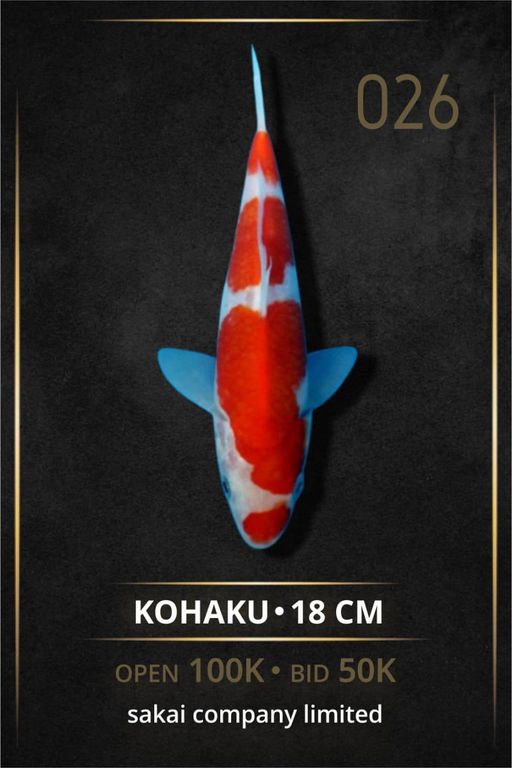 Lelang Koi Online, Jual Beli Ikan Koi, Pusat Jual Beli Koi, Info Lelang Koi Hari Ini, Platform Jual Beli Koi, Jual Beli Ikan Koi Online, Marketplace Ikan Koi, Jual Koi Terbaik, Tempat Beli Koi Berkualitas, Pasar Ikan Koi Online Terpercaya, Penjual Ikan Koi Terpercaya, Beli Koi Hias Online, Ikan Koi untuk Dijual, Koi Kualitas Terbaik, Toko Online Ikan Koi, Koi Hias Untuk Dijual, Jual Beli Ikan Koi Lokal, Koi Indonesia Online, Pusat Jual Beli Koi Terbesar