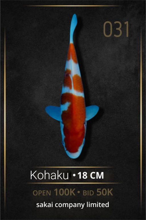 Lelang Koi Online, Jual Beli Ikan Koi, Pusat Jual Beli Koi, Info Lelang Koi Hari Ini, Platform Jual Beli Koi, Jual Beli Ikan Koi Online, Marketplace Ikan Koi, Jual Koi Terbaik, Tempat Beli Koi Berkualitas, Pasar Ikan Koi Online Terpercaya, Penjual Ikan Koi Terpercaya, Beli Koi Hias Online, Ikan Koi untuk Dijual, Koi Kualitas Terbaik, Toko Online Ikan Koi, Koi Hias Untuk Dijual, Jual Beli Ikan Koi Lokal, Koi Indonesia Online, Pusat Jual Beli Koi Terbesar