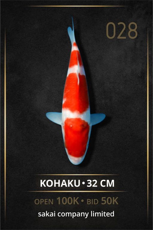Lelang Koi Online, Jual Beli Ikan Koi, Pusat Jual Beli Koi, Info Lelang Koi Hari Ini, Platform Jual Beli Koi, Jual Beli Ikan Koi Online, Marketplace Ikan Koi, Jual Koi Terbaik, Tempat Beli Koi Berkualitas, Pasar Ikan Koi Online Terpercaya, Penjual Ikan Koi Terpercaya, Beli Koi Hias Online, Ikan Koi untuk Dijual, Koi Kualitas Terbaik, Toko Online Ikan Koi, Koi Hias Untuk Dijual, Jual Beli Ikan Koi Lokal, Koi Indonesia Online, Pusat Jual Beli Koi Terbesar