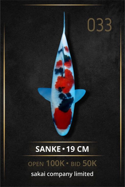 Lelang Koi Online, Jual Beli Ikan Koi, Pusat Jual Beli Koi, Info Lelang Koi Hari Ini, Platform Jual Beli Koi, Jual Beli Ikan Koi Online, Marketplace Ikan Koi, Jual Koi Terbaik, Tempat Beli Koi Berkualitas, Pasar Ikan Koi Online Terpercaya, Penjual Ikan Koi Terpercaya, Beli Koi Hias Online, Ikan Koi untuk Dijual, Koi Kualitas Terbaik, Toko Online Ikan Koi, Koi Hias Untuk Dijual, Jual Beli Ikan Koi Lokal, Koi Indonesia Online, Pusat Jual Beli Koi Terbesar