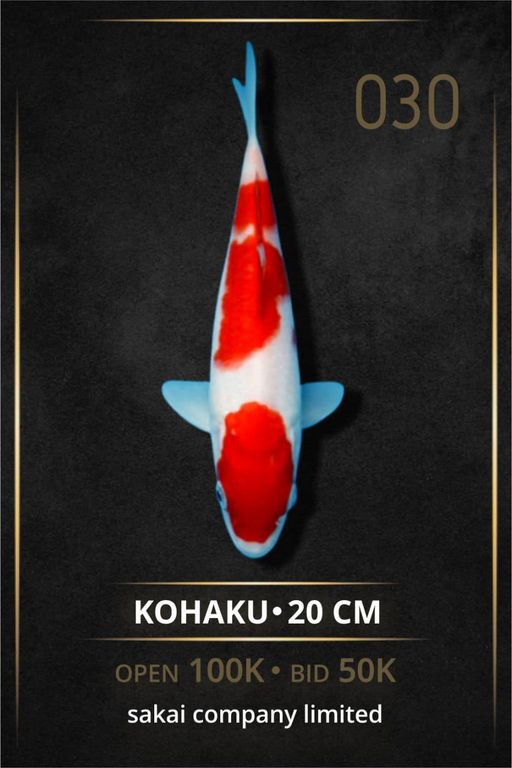 Lelang Koi Online, Jual Beli Ikan Koi, Pusat Jual Beli Koi, Info Lelang Koi Hari Ini, Platform Jual Beli Koi, Jual Beli Ikan Koi Online, Marketplace Ikan Koi, Jual Koi Terbaik, Tempat Beli Koi Berkualitas, Pasar Ikan Koi Online Terpercaya, Penjual Ikan Koi Terpercaya, Beli Koi Hias Online, Ikan Koi untuk Dijual, Koi Kualitas Terbaik, Toko Online Ikan Koi, Koi Hias Untuk Dijual, Jual Beli Ikan Koi Lokal, Koi Indonesia Online, Pusat Jual Beli Koi Terbesar