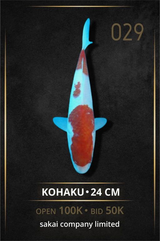 Lelang Koi Online, Jual Beli Ikan Koi, Pusat Jual Beli Koi, Info Lelang Koi Hari Ini, Platform Jual Beli Koi, Jual Beli Ikan Koi Online, Marketplace Ikan Koi, Jual Koi Terbaik, Tempat Beli Koi Berkualitas, Pasar Ikan Koi Online Terpercaya, Penjual Ikan Koi Terpercaya, Beli Koi Hias Online, Ikan Koi untuk Dijual, Koi Kualitas Terbaik, Toko Online Ikan Koi, Koi Hias Untuk Dijual, Jual Beli Ikan Koi Lokal, Koi Indonesia Online, Pusat Jual Beli Koi Terbesar