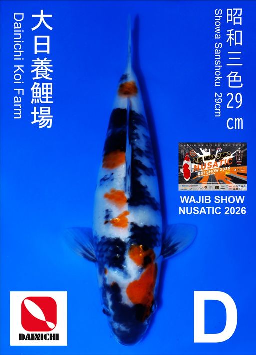 Lelang Koi Online, Jual Beli Ikan Koi, Pusat Jual Beli Koi, Info Lelang Koi Hari Ini, Platform Jual Beli Koi, Jual Beli Ikan Koi Online, Marketplace Ikan Koi, Jual Koi Terbaik, Tempat Beli Koi Berkualitas, Pasar Ikan Koi Online Terpercaya, Penjual Ikan Koi Terpercaya, Beli Koi Hias Online, Ikan Koi untuk Dijual, Koi Kualitas Terbaik, Toko Online Ikan Koi, Koi Hias Untuk Dijual, Jual Beli Ikan Koi Lokal, Koi Indonesia Online, Pusat Jual Beli Koi Terbesar
