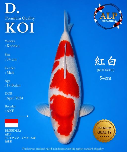 Lelang Koi Online, Jual Beli Ikan Koi, Pusat Jual Beli Koi, Info Lelang Koi Hari Ini, Platform Jual Beli Koi, Jual Beli Ikan Koi Online, Marketplace Ikan Koi, Jual Koi Terbaik, Tempat Beli Koi Berkualitas, Pasar Ikan Koi Online Terpercaya, Penjual Ikan Koi Terpercaya, Beli Koi Hias Online, Ikan Koi untuk Dijual, Koi Kualitas Terbaik, Toko Online Ikan Koi, Koi Hias Untuk Dijual, Jual Beli Ikan Koi Lokal, Koi Indonesia Online, Pusat Jual Beli Koi Terbesar
