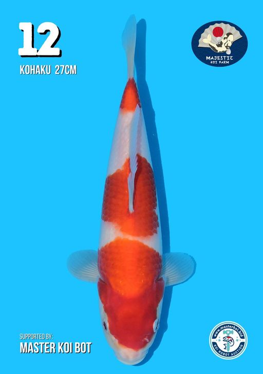 Lelang Koi Online, Jual Beli Ikan Koi, Pusat Jual Beli Koi, Info Lelang Koi Hari Ini, Platform Jual Beli Koi, Jual Beli Ikan Koi Online, Marketplace Ikan Koi, Jual Koi Terbaik, Tempat Beli Koi Berkualitas, Pasar Ikan Koi Online Terpercaya, Penjual Ikan Koi Terpercaya, Beli Koi Hias Online, Ikan Koi untuk Dijual, Koi Kualitas Terbaik, Toko Online Ikan Koi, Koi Hias Untuk Dijual, Jual Beli Ikan Koi Lokal, Koi Indonesia Online, Pusat Jual Beli Koi Terbesar