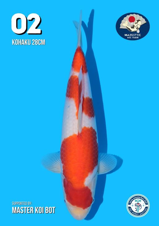 Lelang Koi Online, Jual Beli Ikan Koi, Pusat Jual Beli Koi, Info Lelang Koi Hari Ini, Platform Jual Beli Koi, Jual Beli Ikan Koi Online, Marketplace Ikan Koi, Jual Koi Terbaik, Tempat Beli Koi Berkualitas, Pasar Ikan Koi Online Terpercaya, Penjual Ikan Koi Terpercaya, Beli Koi Hias Online, Ikan Koi untuk Dijual, Koi Kualitas Terbaik, Toko Online Ikan Koi, Koi Hias Untuk Dijual, Jual Beli Ikan Koi Lokal, Koi Indonesia Online, Pusat Jual Beli Koi Terbesar