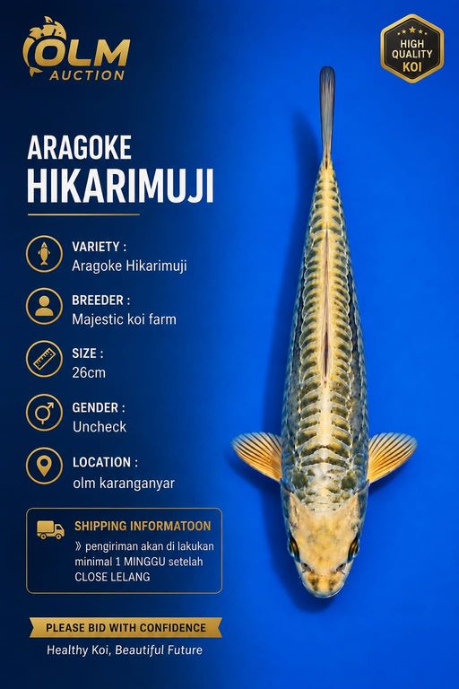 Lelang Koi Online, Jual Beli Ikan Koi, Pusat Jual Beli Koi, Info Lelang Koi Hari Ini, Platform Jual Beli Koi, Jual Beli Ikan Koi Online, Marketplace Ikan Koi, Jual Koi Terbaik, Tempat Beli Koi Berkualitas, Pasar Ikan Koi Online Terpercaya, Penjual Ikan Koi Terpercaya, Beli Koi Hias Online, Ikan Koi untuk Dijual, Koi Kualitas Terbaik, Toko Online Ikan Koi, Koi Hias Untuk Dijual, Jual Beli Ikan Koi Lokal, Koi Indonesia Online, Pusat Jual Beli Koi Terbesar