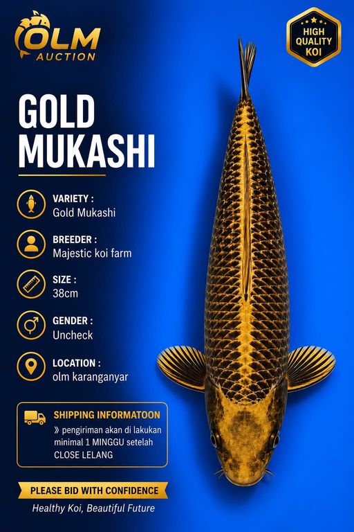 Lelang Koi Online, Jual Beli Ikan Koi, Pusat Jual Beli Koi, Info Lelang Koi Hari Ini, Platform Jual Beli Koi, Jual Beli Ikan Koi Online, Marketplace Ikan Koi, Jual Koi Terbaik, Tempat Beli Koi Berkualitas, Pasar Ikan Koi Online Terpercaya, Penjual Ikan Koi Terpercaya, Beli Koi Hias Online, Ikan Koi untuk Dijual, Koi Kualitas Terbaik, Toko Online Ikan Koi, Koi Hias Untuk Dijual, Jual Beli Ikan Koi Lokal, Koi Indonesia Online, Pusat Jual Beli Koi Terbesar
