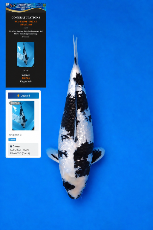 Lelang Koi Online, Jual Beli Ikan Koi, Pusat Jual Beli Koi, Info Lelang Koi Hari Ini, Platform Jual Beli Koi, Jual Beli Ikan Koi Online, Marketplace Ikan Koi, Jual Koi Terbaik, Tempat Beli Koi Berkualitas, Pasar Ikan Koi Online Terpercaya, Penjual Ikan Koi Terpercaya, Beli Koi Hias Online, Ikan Koi untuk Dijual, Koi Kualitas Terbaik, Toko Online Ikan Koi, Koi Hias Untuk Dijual, Jual Beli Ikan Koi Lokal, Koi Indonesia Online, Pusat Jual Beli Koi Terbesar