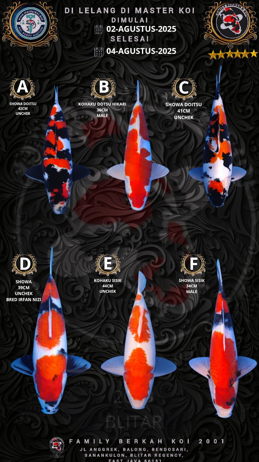 Lelang Koi Online, Jual Beli Ikan Koi, Pasar Koi Terbaik, Agen Lelang Koi, Penawaran Koi Berkualitas, Harga Jual Koi, Lelang Ikan Koi Import, Beli Koi Online, Jual Koi Murah, Koi Showroom, Penjual Koi Terpercaya, Lelang Koi Jakarta, Jual Koi Lokal, Koi Kualitas Unggul, Harga Terbaik Koi, Jual Koi Indukan, Lelang Ikan Hias Koi, Pasar Koi Indonesia, Beli Koi Berkualitas Tinggi, Koi Farm Terbesar, Jual Beli Koi Impor, Lelang Ikan Koi Kualitas Premium, Daftar Harga Koi Terbaru, Pusat Jual Beli Koi, Info Lelang Koi Hari Ini.