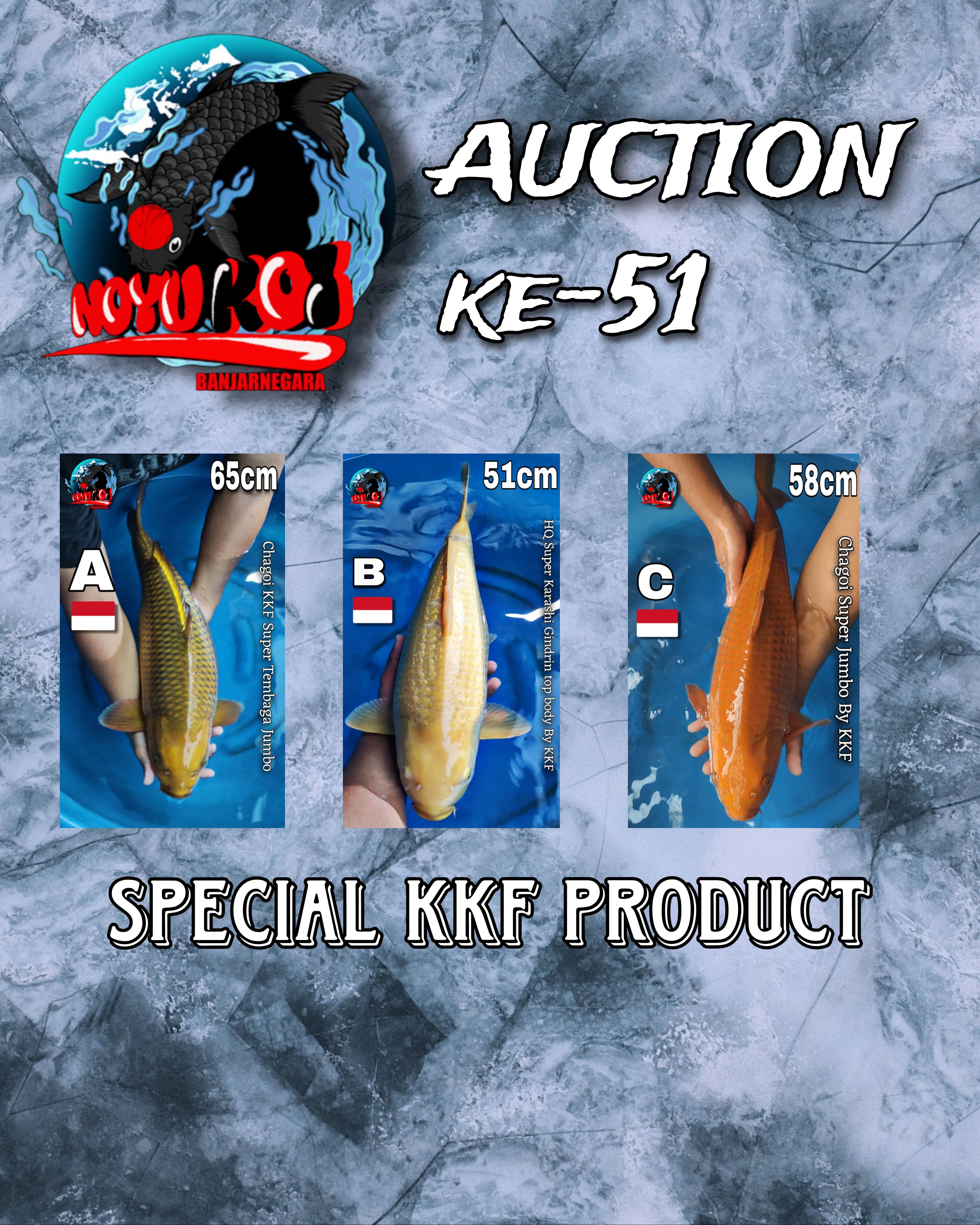 Lelang Koi Online, Jual Beli Ikan Koi, Pasar Koi Terbaik, Agen Lelang Koi, Penawaran Koi Berkualitas, Harga Jual Koi, Lelang Ikan Koi Import, Beli Koi Online, Jual Koi Murah, Koi Showroom, Penjual Koi Terpercaya, Lelang Koi Jakarta, Jual Koi Lokal, Koi Kualitas Unggul, Harga Terbaik Koi, Jual Koi Indukan, Lelang Ikan Hias Koi, Pasar Koi Indonesia, Beli Koi Berkualitas Tinggi, Koi Farm Terbesar, Jual Beli Koi Impor, Lelang Ikan Koi Kualitas Premium, Daftar Harga Koi Terbaru, Pusat Jual Beli Koi, Info Lelang Koi Hari Ini.