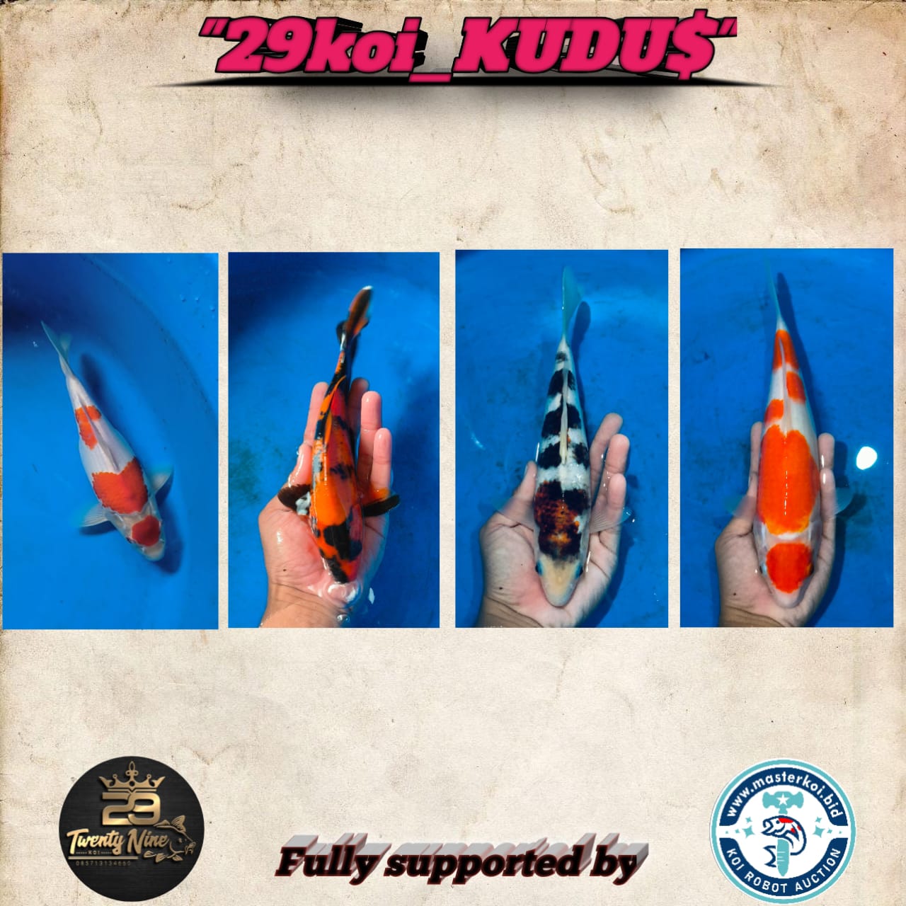 Lelang Koi Online, Jual Beli Ikan Koi, Pasar Koi Terbaik, Agen Lelang Koi, Penawaran Koi Berkualitas, Harga Jual Koi, Lelang Ikan Koi Import, Beli Koi Online, Jual Koi Murah, Koi Showroom, Penjual Koi Terpercaya, Lelang Koi Jakarta, Jual Koi Lokal, Koi Kualitas Unggul, Harga Terbaik Koi, Jual Koi Indukan, Lelang Ikan Hias Koi, Pasar Koi Indonesia, Beli Koi Berkualitas Tinggi, Koi Farm Terbesar, Jual Beli Koi Impor, Lelang Ikan Koi Kualitas Premium, Daftar Harga Koi Terbaru, Pusat Jual Beli Koi, Info Lelang Koi Hari Ini.