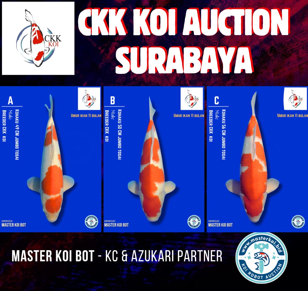 Lelang Koi Online, Jual Beli Ikan Koi, Pasar Koi Terbaik, Agen Lelang Koi, Penawaran Koi Berkualitas, Harga Jual Koi, Lelang Ikan Koi Import, Beli Koi Online, Jual Koi Murah, Koi Showroom, Penjual Koi Terpercaya, Lelang Koi Jakarta, Jual Koi Lokal, Koi Kualitas Unggul, Harga Terbaik Koi, Jual Koi Indukan, Lelang Ikan Hias Koi, Pasar Koi Indonesia, Beli Koi Berkualitas Tinggi, Koi Farm Terbesar, Jual Beli Koi Impor, Lelang Ikan Koi Kualitas Premium, Daftar Harga Koi Terbaru, Pusat Jual Beli Koi, Info Lelang Koi Hari Ini.