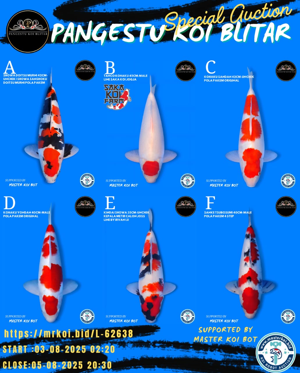 Lelang Koi Online, Jual Beli Ikan Koi, Pasar Koi Terbaik, Agen Lelang Koi, Penawaran Koi Berkualitas, Harga Jual Koi, Lelang Ikan Koi Import, Beli Koi Online, Jual Koi Murah, Koi Showroom, Penjual Koi Terpercaya, Lelang Koi Jakarta, Jual Koi Lokal, Koi Kualitas Unggul, Harga Terbaik Koi, Jual Koi Indukan, Lelang Ikan Hias Koi, Pasar Koi Indonesia, Beli Koi Berkualitas Tinggi, Koi Farm Terbesar, Jual Beli Koi Impor, Lelang Ikan Koi Kualitas Premium, Daftar Harga Koi Terbaru, Pusat Jual Beli Koi, Info Lelang Koi Hari Ini.