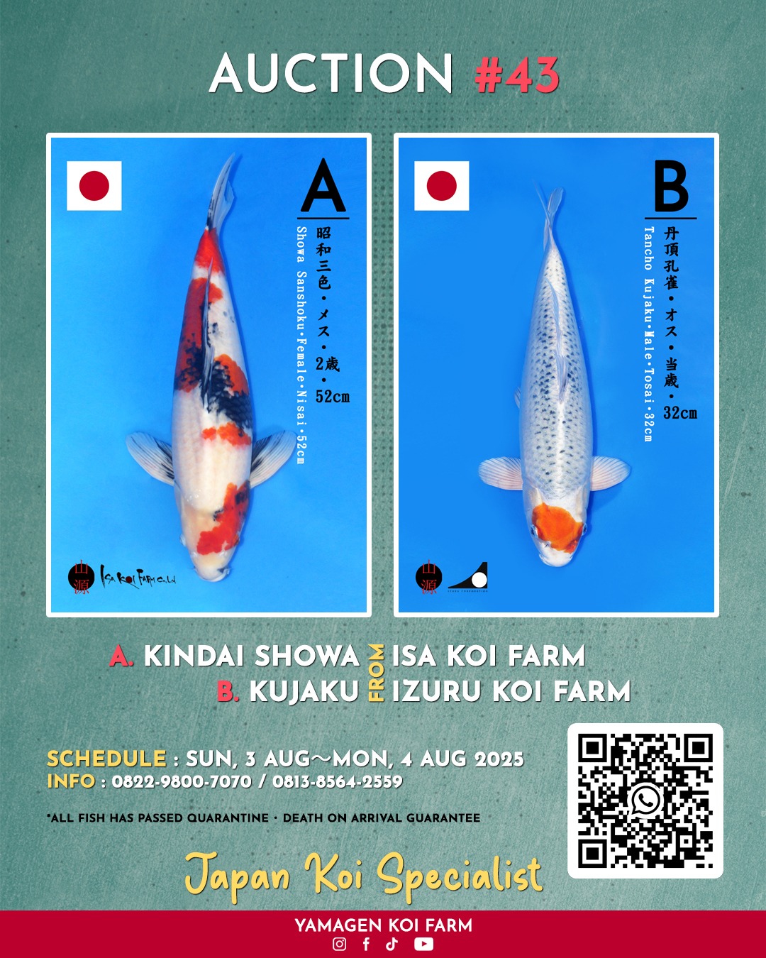 Lelang Koi Online, Jual Beli Ikan Koi, Pasar Koi Terbaik, Agen Lelang Koi, Penawaran Koi Berkualitas, Harga Jual Koi, Lelang Ikan Koi Import, Beli Koi Online, Jual Koi Murah, Koi Showroom, Penjual Koi Terpercaya, Lelang Koi Jakarta, Jual Koi Lokal, Koi Kualitas Unggul, Harga Terbaik Koi, Jual Koi Indukan, Lelang Ikan Hias Koi, Pasar Koi Indonesia, Beli Koi Berkualitas Tinggi, Koi Farm Terbesar, Jual Beli Koi Impor, Lelang Ikan Koi Kualitas Premium, Daftar Harga Koi Terbaru, Pusat Jual Beli Koi, Info Lelang Koi Hari Ini.