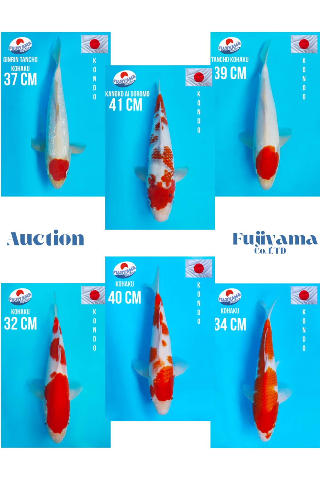 Lelang Koi Online, Jual Beli Ikan Koi, Pasar Koi Terbaik, Agen Lelang Koi, Penawaran Koi Berkualitas, Harga Jual Koi, Lelang Ikan Koi Import, Beli Koi Online, Jual Koi Murah, Koi Showroom, Penjual Koi Terpercaya, Lelang Koi Jakarta, Jual Koi Lokal, Koi Kualitas Unggul, Harga Terbaik Koi, Jual Koi Indukan, Lelang Ikan Hias Koi, Pasar Koi Indonesia, Beli Koi Berkualitas Tinggi, Koi Farm Terbesar, Jual Beli Koi Impor, Lelang Ikan Koi Kualitas Premium, Daftar Harga Koi Terbaru, Pusat Jual Beli Koi, Info Lelang Koi Hari Ini.