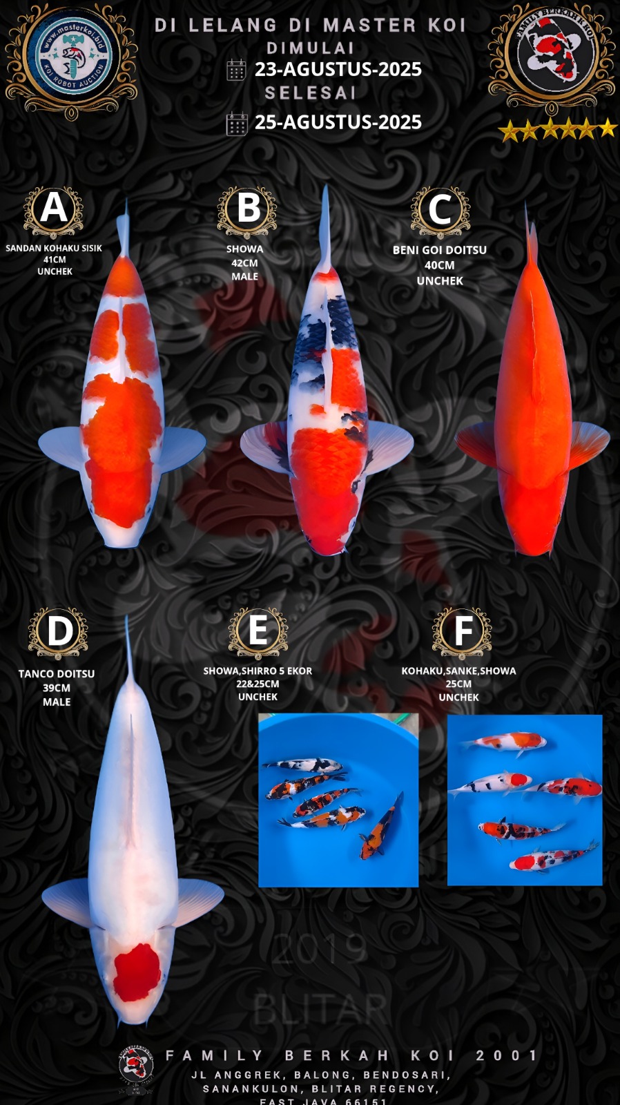 Lelang Koi Online, Jual Beli Ikan Koi, Pasar Koi Terbaik, Agen Lelang Koi, Penawaran Koi Berkualitas, Harga Jual Koi, Lelang Ikan Koi Import, Beli Koi Online, Jual Koi Murah, Koi Showroom, Penjual Koi Terpercaya, Lelang Koi Jakarta, Jual Koi Lokal, Koi Kualitas Unggul, Harga Terbaik Koi, Jual Koi Indukan, Lelang Ikan Hias Koi, Pasar Koi Indonesia, Beli Koi Berkualitas Tinggi, Koi Farm Terbesar, Jual Beli Koi Impor, Lelang Ikan Koi Kualitas Premium, Daftar Harga Koi Terbaru, Pusat Jual Beli Koi, Info Lelang Koi Hari Ini.