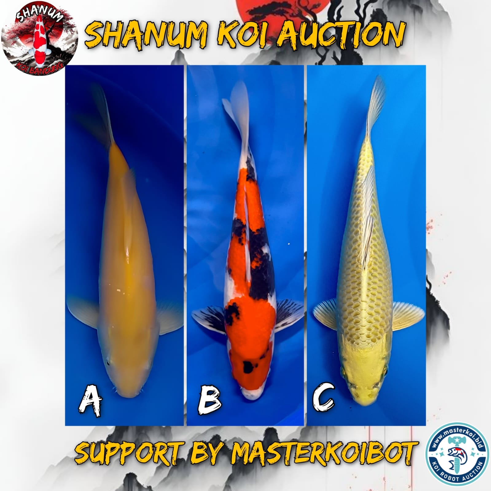 Lelang Koi Online, Jual Beli Ikan Koi, Pasar Koi Terbaik, Agen Lelang Koi, Penawaran Koi Berkualitas, Harga Jual Koi, Lelang Ikan Koi Import, Beli Koi Online, Jual Koi Murah, Koi Showroom, Penjual Koi Terpercaya, Lelang Koi Jakarta, Jual Koi Lokal, Koi Kualitas Unggul, Harga Terbaik Koi, Jual Koi Indukan, Lelang Ikan Hias Koi, Pasar Koi Indonesia, Beli Koi Berkualitas Tinggi, Koi Farm Terbesar, Jual Beli Koi Impor, Lelang Ikan Koi Kualitas Premium, Daftar Harga Koi Terbaru, Pusat Jual Beli Koi, Info Lelang Koi Hari Ini.