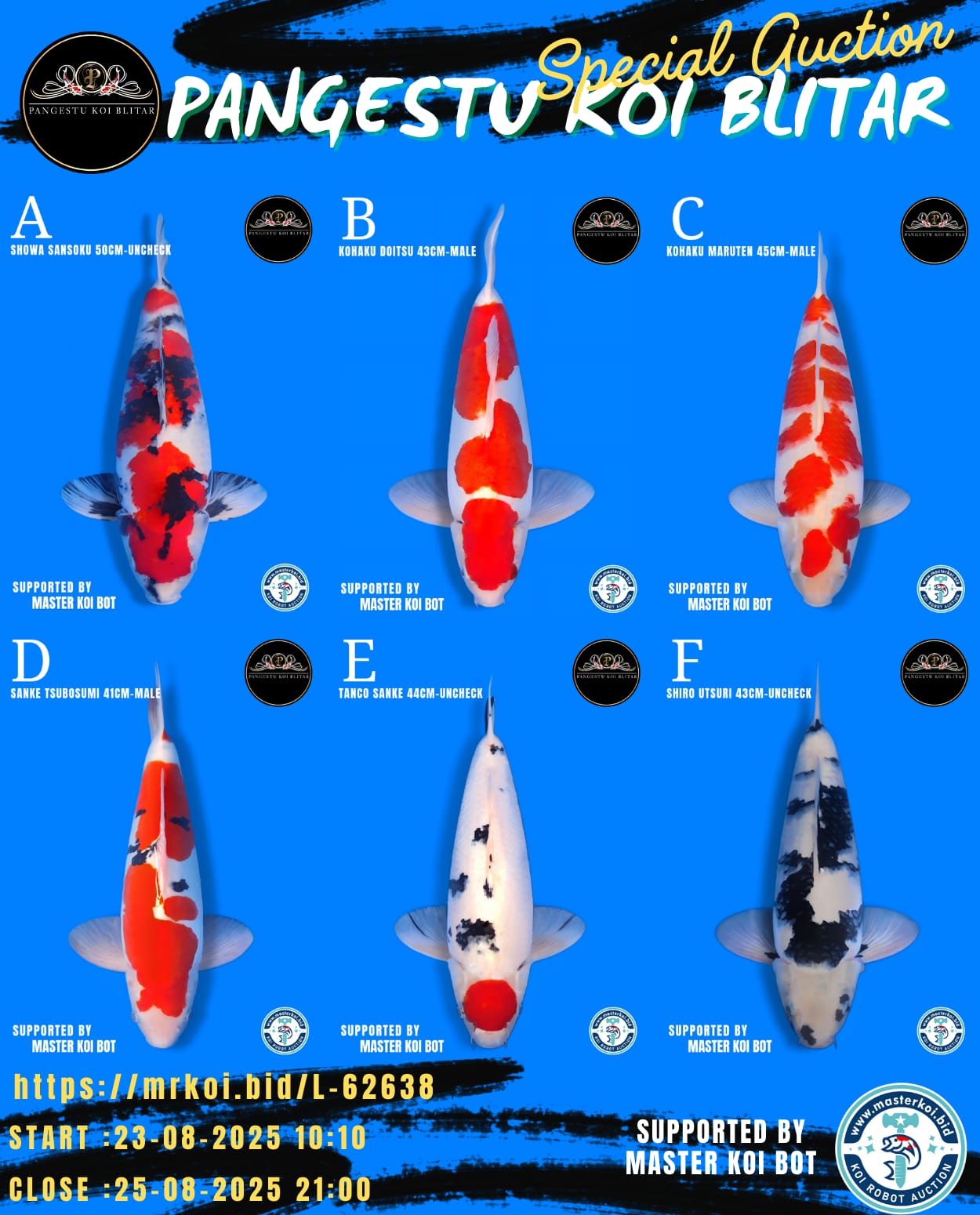 Lelang Koi Online, Jual Beli Ikan Koi, Pasar Koi Terbaik, Agen Lelang Koi, Penawaran Koi Berkualitas, Harga Jual Koi, Lelang Ikan Koi Import, Beli Koi Online, Jual Koi Murah, Koi Showroom, Penjual Koi Terpercaya, Lelang Koi Jakarta, Jual Koi Lokal, Koi Kualitas Unggul, Harga Terbaik Koi, Jual Koi Indukan, Lelang Ikan Hias Koi, Pasar Koi Indonesia, Beli Koi Berkualitas Tinggi, Koi Farm Terbesar, Jual Beli Koi Impor, Lelang Ikan Koi Kualitas Premium, Daftar Harga Koi Terbaru, Pusat Jual Beli Koi, Info Lelang Koi Hari Ini.