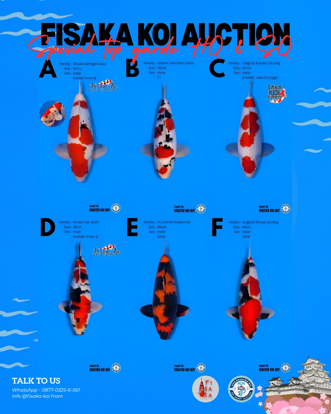 Lelang Koi Online, Jual Beli Ikan Koi, Pasar Koi Terbaik, Agen Lelang Koi, Penawaran Koi Berkualitas, Harga Jual Koi, Lelang Ikan Koi Import, Beli Koi Online, Jual Koi Murah, Koi Showroom, Penjual Koi Terpercaya, Lelang Koi Jakarta, Jual Koi Lokal, Koi Kualitas Unggul, Harga Terbaik Koi, Jual Koi Indukan, Lelang Ikan Hias Koi, Pasar Koi Indonesia, Beli Koi Berkualitas Tinggi, Koi Farm Terbesar, Jual Beli Koi Impor, Lelang Ikan Koi Kualitas Premium, Daftar Harga Koi Terbaru, Pusat Jual Beli Koi, Info Lelang Koi Hari Ini.