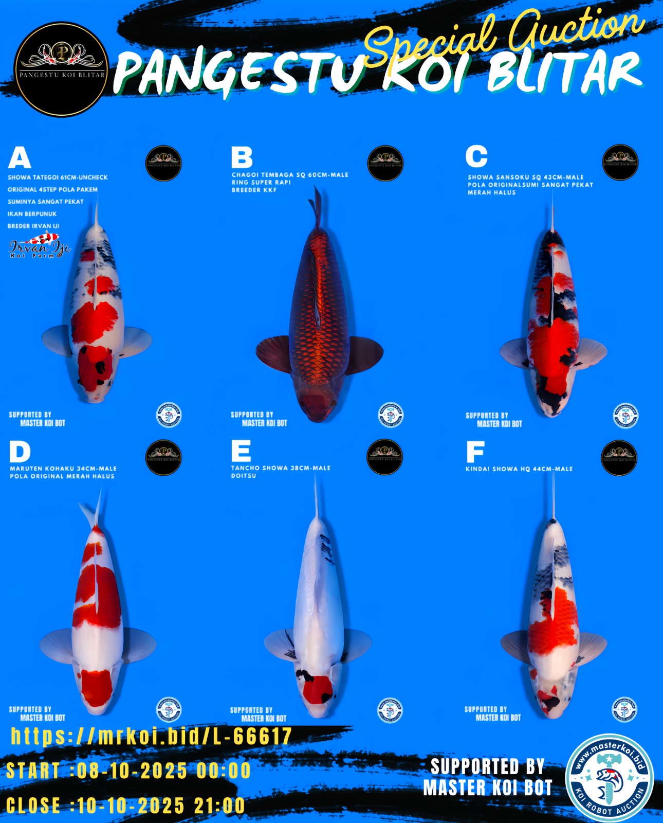 Lelang Koi Online, Jual Beli Ikan Koi, Pasar Koi Terbaik, Agen Lelang Koi, Penawaran Koi Berkualitas, Harga Jual Koi, Lelang Ikan Koi Import, Beli Koi Online, Jual Koi Murah, Koi Showroom, Penjual Koi Terpercaya, Lelang Koi Jakarta, Jual Koi Lokal, Koi Kualitas Unggul, Harga Terbaik Koi, Jual Koi Indukan, Lelang Ikan Hias Koi, Pasar Koi Indonesia, Beli Koi Berkualitas Tinggi, Koi Farm Terbesar, Jual Beli Koi Impor, Lelang Ikan Koi Kualitas Premium, Daftar Harga Koi Terbaru, Pusat Jual Beli Koi, Info Lelang Koi Hari Ini.