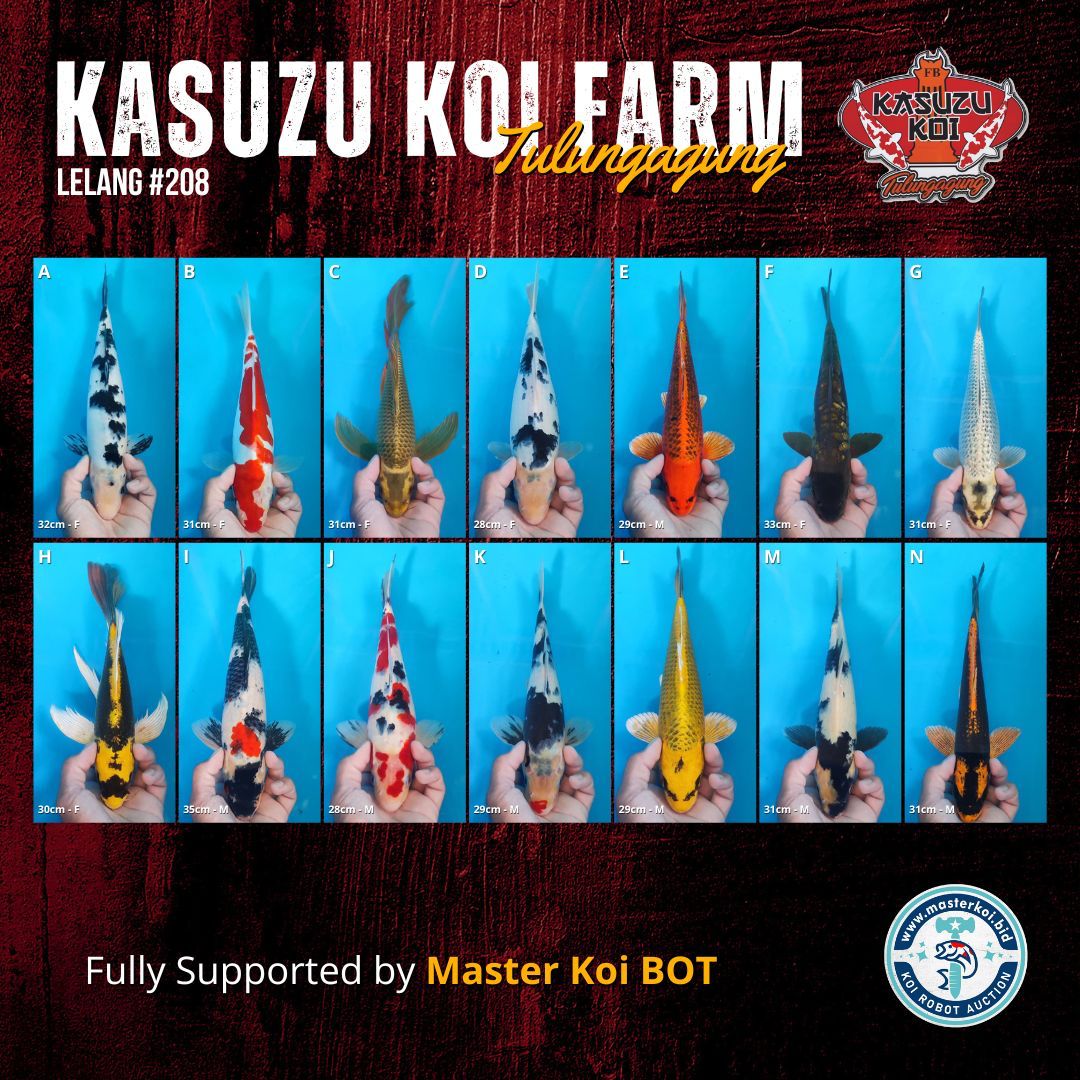 Lelang Koi Online, Jual Beli Ikan Koi, Pasar Koi Terbaik, Agen Lelang Koi, Penawaran Koi Berkualitas, Harga Jual Koi, Lelang Ikan Koi Import, Beli Koi Online, Jual Koi Murah, Koi Showroom, Penjual Koi Terpercaya, Lelang Koi Jakarta, Jual Koi Lokal, Koi Kualitas Unggul, Harga Terbaik Koi, Jual Koi Indukan, Lelang Ikan Hias Koi, Pasar Koi Indonesia, Beli Koi Berkualitas Tinggi, Koi Farm Terbesar, Jual Beli Koi Impor, Lelang Ikan Koi Kualitas Premium, Daftar Harga Koi Terbaru, Pusat Jual Beli Koi, Info Lelang Koi Hari Ini.