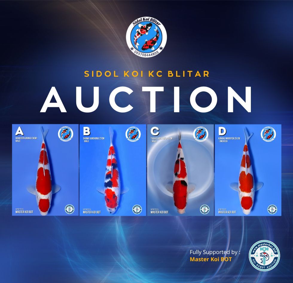 Lelang Koi Online, Jual Beli Ikan Koi, Pasar Koi Terbaik, Agen Lelang Koi, Penawaran Koi Berkualitas, Harga Jual Koi, Lelang Ikan Koi Import, Beli Koi Online, Jual Koi Murah, Koi Showroom, Penjual Koi Terpercaya, Lelang Koi Jakarta, Jual Koi Lokal, Koi Kualitas Unggul, Harga Terbaik Koi, Jual Koi Indukan, Lelang Ikan Hias Koi, Pasar Koi Indonesia, Beli Koi Berkualitas Tinggi, Koi Farm Terbesar, Jual Beli Koi Impor, Lelang Ikan Koi Kualitas Premium, Daftar Harga Koi Terbaru, Pusat Jual Beli Koi, Info Lelang Koi Hari Ini.
