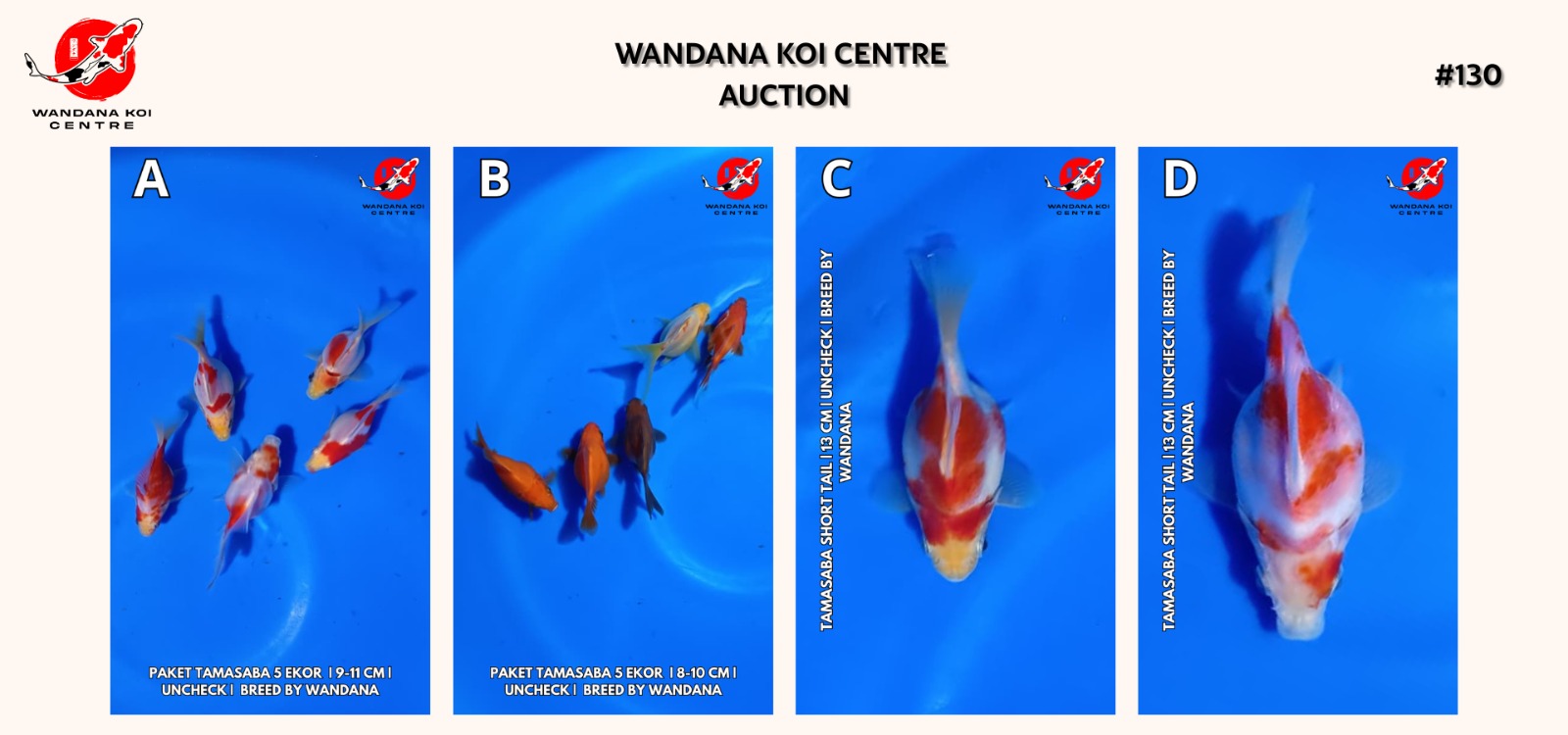 Lelang Koi Online, Jual Beli Ikan Koi, Pasar Koi Terbaik, Agen Lelang Koi, Penawaran Koi Berkualitas, Harga Jual Koi, Lelang Ikan Koi Import, Beli Koi Online, Jual Koi Murah, Koi Showroom, Penjual Koi Terpercaya, Lelang Koi Jakarta, Jual Koi Lokal, Koi Kualitas Unggul, Harga Terbaik Koi, Jual Koi Indukan, Lelang Ikan Hias Koi, Pasar Koi Indonesia, Beli Koi Berkualitas Tinggi, Koi Farm Terbesar, Jual Beli Koi Impor, Lelang Ikan Koi Kualitas Premium, Daftar Harga Koi Terbaru, Pusat Jual Beli Koi, Info Lelang Koi Hari Ini.