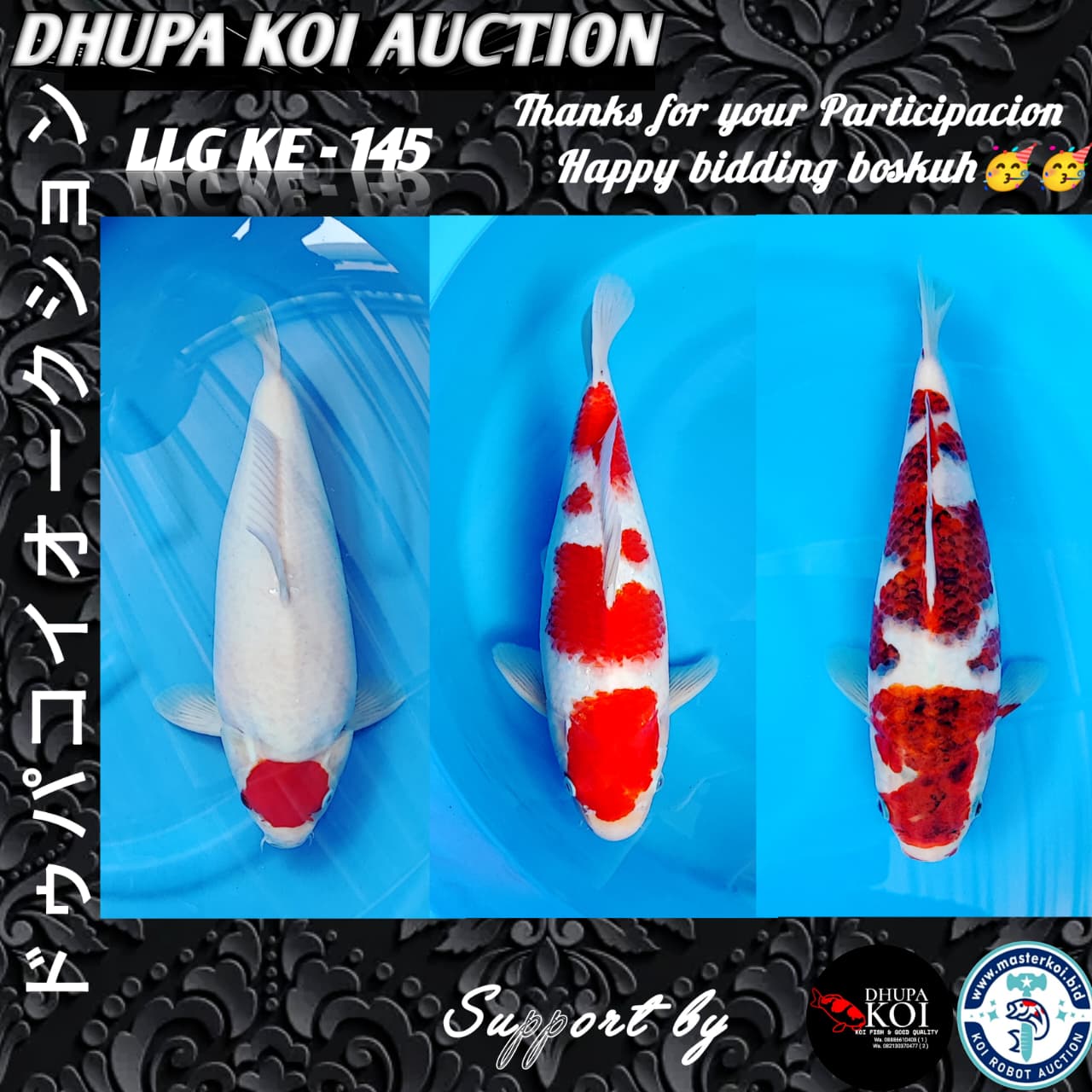Lelang Koi Online, Jual Beli Ikan Koi, Pasar Koi Terbaik, Agen Lelang Koi, Penawaran Koi Berkualitas, Harga Jual Koi, Lelang Ikan Koi Import, Beli Koi Online, Jual Koi Murah, Koi Showroom, Penjual Koi Terpercaya, Lelang Koi Jakarta, Jual Koi Lokal, Koi Kualitas Unggul, Harga Terbaik Koi, Jual Koi Indukan, Lelang Ikan Hias Koi, Pasar Koi Indonesia, Beli Koi Berkualitas Tinggi, Koi Farm Terbesar, Jual Beli Koi Impor, Lelang Ikan Koi Kualitas Premium, Daftar Harga Koi Terbaru, Pusat Jual Beli Koi, Info Lelang Koi Hari Ini.