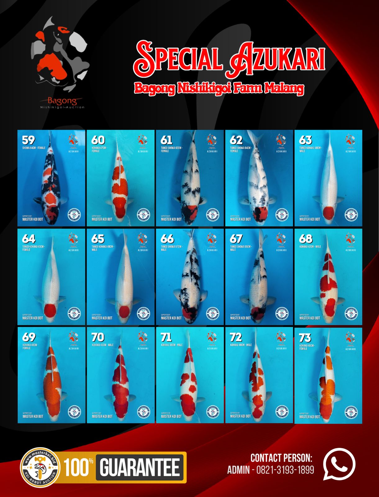 Lelang Koi Online, Jual Beli Ikan Koi, Pasar Koi Terbaik, Agen Lelang Koi, Penawaran Koi Berkualitas, Harga Jual Koi, Lelang Ikan Koi Import, Beli Koi Online, Jual Koi Murah, Koi Showroom, Penjual Koi Terpercaya, Lelang Koi Jakarta, Jual Koi Lokal, Koi Kualitas Unggul, Harga Terbaik Koi, Jual Koi Indukan, Lelang Ikan Hias Koi, Pasar Koi Indonesia, Beli Koi Berkualitas Tinggi, Koi Farm Terbesar, Jual Beli Koi Impor, Lelang Ikan Koi Kualitas Premium, Daftar Harga Koi Terbaru, Pusat Jual Beli Koi, Info Lelang Koi Hari Ini.