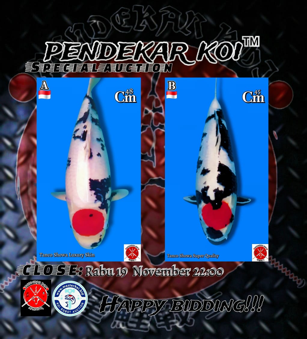 Lelang Koi Online, Jual Beli Ikan Koi, Pasar Koi Terbaik, Agen Lelang Koi, Penawaran Koi Berkualitas, Harga Jual Koi, Lelang Ikan Koi Import, Beli Koi Online, Jual Koi Murah, Koi Showroom, Penjual Koi Terpercaya, Lelang Koi Jakarta, Jual Koi Lokal, Koi Kualitas Unggul, Harga Terbaik Koi, Jual Koi Indukan, Lelang Ikan Hias Koi, Pasar Koi Indonesia, Beli Koi Berkualitas Tinggi, Koi Farm Terbesar, Jual Beli Koi Impor, Lelang Ikan Koi Kualitas Premium, Daftar Harga Koi Terbaru, Pusat Jual Beli Koi, Info Lelang Koi Hari Ini.