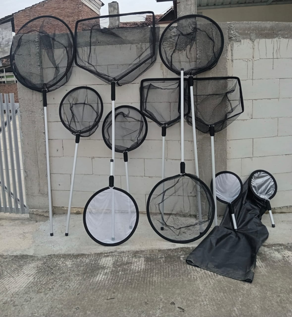 Lelang Koi Online, Jual Beli Ikan Koi, Pasar Koi Terbaik, Agen Lelang Koi, Penawaran Koi Berkualitas, Harga Jual Koi, Lelang Ikan Koi Import, Beli Koi Online, Jual Koi Murah, Koi Showroom, Penjual Koi Terpercaya, Lelang Koi Jakarta, Jual Koi Lokal, Koi Kualitas Unggul, Harga Terbaik Koi, Jual Koi Indukan, Lelang Ikan Hias Koi, Pasar Koi Indonesia, Beli Koi Berkualitas Tinggi, Koi Farm Terbesar, Jual Beli Koi Impor, Lelang Ikan Koi Kualitas Premium, Daftar Harga Koi Terbaru, Pusat Jual Beli Koi, Info Lelang Koi Hari Ini.