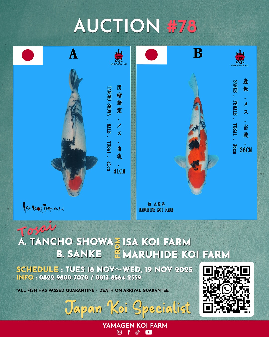 Lelang Koi Online, Jual Beli Ikan Koi, Pasar Koi Terbaik, Agen Lelang Koi, Penawaran Koi Berkualitas, Harga Jual Koi, Lelang Ikan Koi Import, Beli Koi Online, Jual Koi Murah, Koi Showroom, Penjual Koi Terpercaya, Lelang Koi Jakarta, Jual Koi Lokal, Koi Kualitas Unggul, Harga Terbaik Koi, Jual Koi Indukan, Lelang Ikan Hias Koi, Pasar Koi Indonesia, Beli Koi Berkualitas Tinggi, Koi Farm Terbesar, Jual Beli Koi Impor, Lelang Ikan Koi Kualitas Premium, Daftar Harga Koi Terbaru, Pusat Jual Beli Koi, Info Lelang Koi Hari Ini.