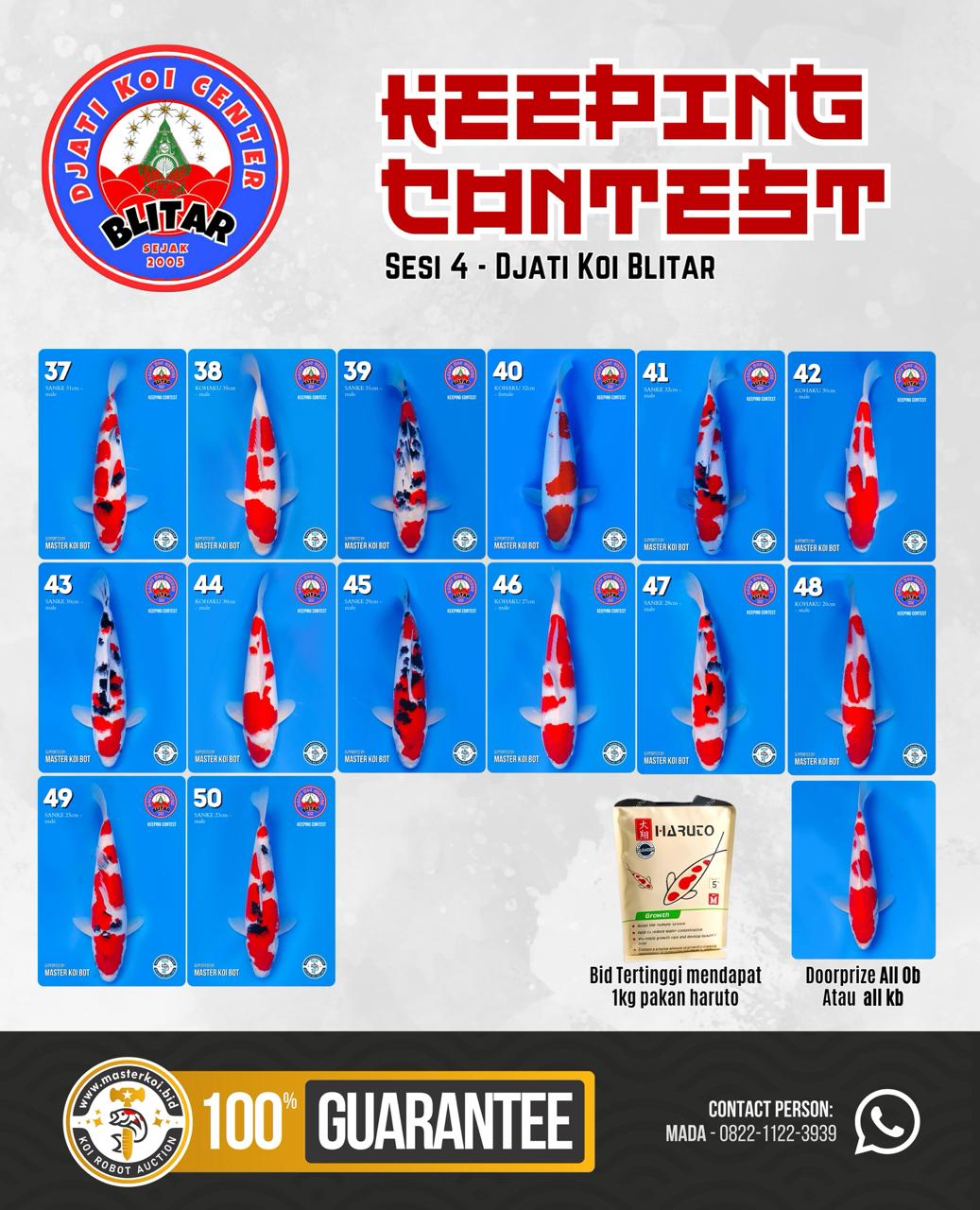 Lelang Koi Online, Jual Beli Ikan Koi, Pasar Koi Terbaik, Agen Lelang Koi, Penawaran Koi Berkualitas, Harga Jual Koi, Lelang Ikan Koi Import, Beli Koi Online, Jual Koi Murah, Koi Showroom, Penjual Koi Terpercaya, Lelang Koi Jakarta, Jual Koi Lokal, Koi Kualitas Unggul, Harga Terbaik Koi, Jual Koi Indukan, Lelang Ikan Hias Koi, Pasar Koi Indonesia, Beli Koi Berkualitas Tinggi, Koi Farm Terbesar, Jual Beli Koi Impor, Lelang Ikan Koi Kualitas Premium, Daftar Harga Koi Terbaru, Pusat Jual Beli Koi, Info Lelang Koi Hari Ini.