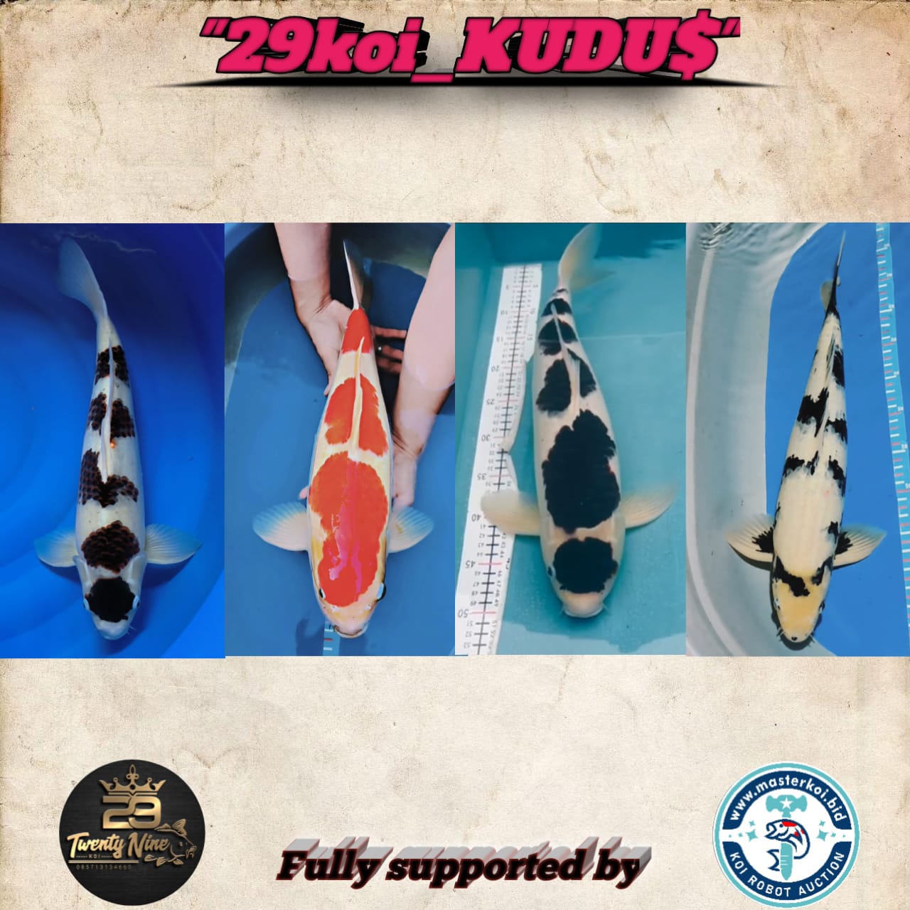 Lelang Koi Online, Jual Beli Ikan Koi, Pasar Koi Terbaik, Agen Lelang Koi, Penawaran Koi Berkualitas, Harga Jual Koi, Lelang Ikan Koi Import, Beli Koi Online, Jual Koi Murah, Koi Showroom, Penjual Koi Terpercaya, Lelang Koi Jakarta, Jual Koi Lokal, Koi Kualitas Unggul, Harga Terbaik Koi, Jual Koi Indukan, Lelang Ikan Hias Koi, Pasar Koi Indonesia, Beli Koi Berkualitas Tinggi, Koi Farm Terbesar, Jual Beli Koi Impor, Lelang Ikan Koi Kualitas Premium, Daftar Harga Koi Terbaru, Pusat Jual Beli Koi, Info Lelang Koi Hari Ini.