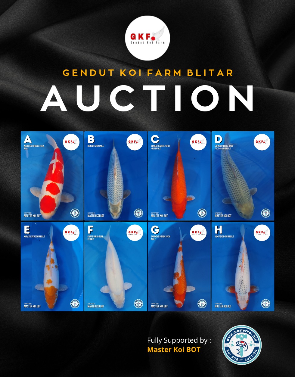 Lelang Koi Online, Jual Beli Ikan Koi, Pasar Koi Terbaik, Agen Lelang Koi, Penawaran Koi Berkualitas, Harga Jual Koi, Lelang Ikan Koi Import, Beli Koi Online, Jual Koi Murah, Koi Showroom, Penjual Koi Terpercaya, Lelang Koi Jakarta, Jual Koi Lokal, Koi Kualitas Unggul, Harga Terbaik Koi, Jual Koi Indukan, Lelang Ikan Hias Koi, Pasar Koi Indonesia, Beli Koi Berkualitas Tinggi, Koi Farm Terbesar, Jual Beli Koi Impor, Lelang Ikan Koi Kualitas Premium, Daftar Harga Koi Terbaru, Pusat Jual Beli Koi, Info Lelang Koi Hari Ini.