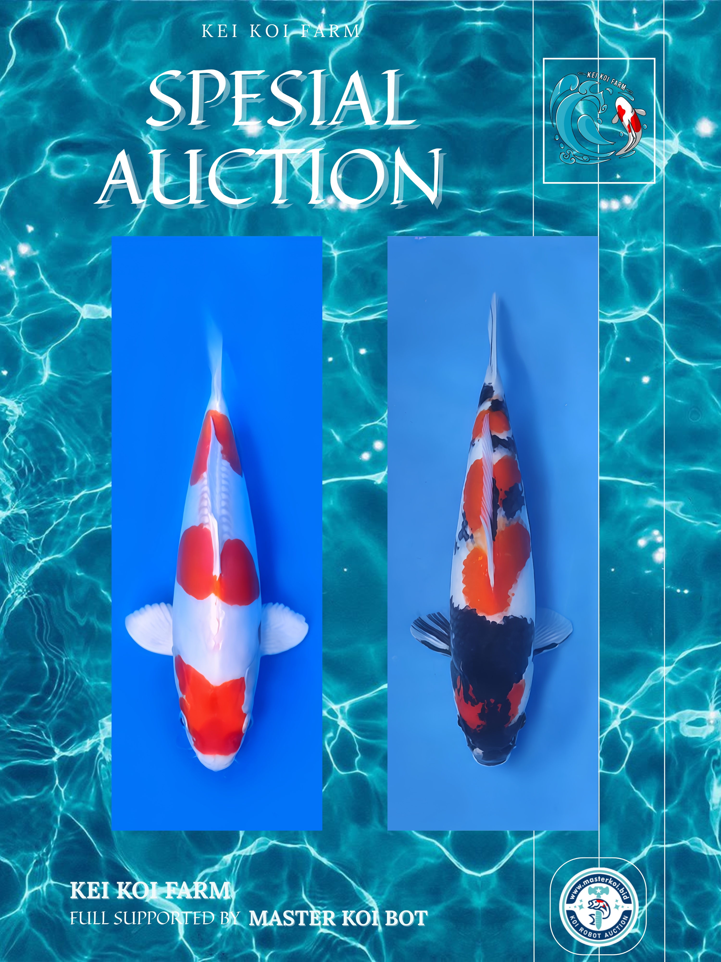 Lelang Koi Online, Jual Beli Ikan Koi, Pasar Koi Terbaik, Agen Lelang Koi, Penawaran Koi Berkualitas, Harga Jual Koi, Lelang Ikan Koi Import, Beli Koi Online, Jual Koi Murah, Koi Showroom, Penjual Koi Terpercaya, Lelang Koi Jakarta, Jual Koi Lokal, Koi Kualitas Unggul, Harga Terbaik Koi, Jual Koi Indukan, Lelang Ikan Hias Koi, Pasar Koi Indonesia, Beli Koi Berkualitas Tinggi, Koi Farm Terbesar, Jual Beli Koi Impor, Lelang Ikan Koi Kualitas Premium, Daftar Harga Koi Terbaru, Pusat Jual Beli Koi, Info Lelang Koi Hari Ini.