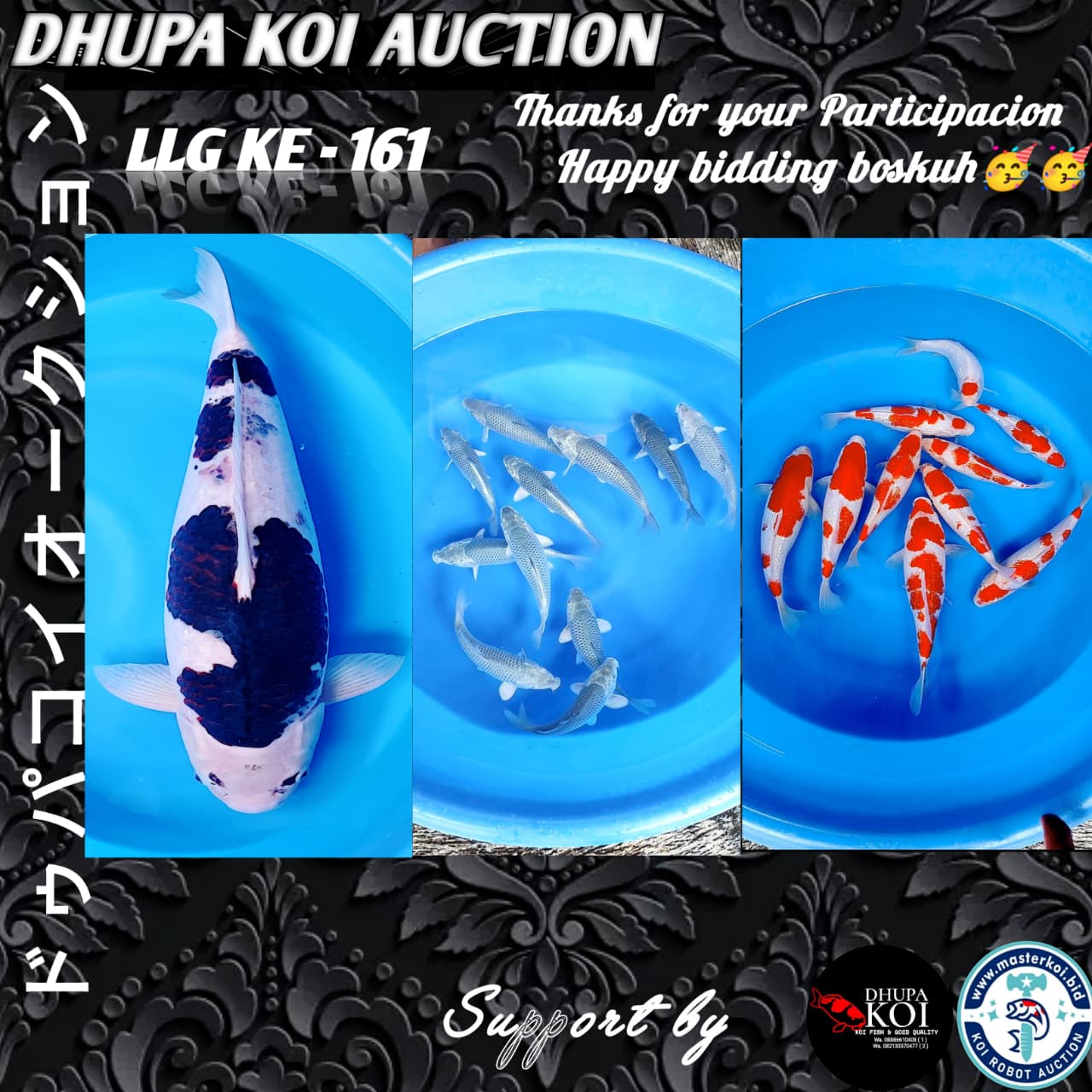 Lelang Koi Online, Jual Beli Ikan Koi, Pasar Koi Terbaik, Agen Lelang Koi, Penawaran Koi Berkualitas, Harga Jual Koi, Lelang Ikan Koi Import, Beli Koi Online, Jual Koi Murah, Koi Showroom, Penjual Koi Terpercaya, Lelang Koi Jakarta, Jual Koi Lokal, Koi Kualitas Unggul, Harga Terbaik Koi, Jual Koi Indukan, Lelang Ikan Hias Koi, Pasar Koi Indonesia, Beli Koi Berkualitas Tinggi, Koi Farm Terbesar, Jual Beli Koi Impor, Lelang Ikan Koi Kualitas Premium, Daftar Harga Koi Terbaru, Pusat Jual Beli Koi, Info Lelang Koi Hari Ini.