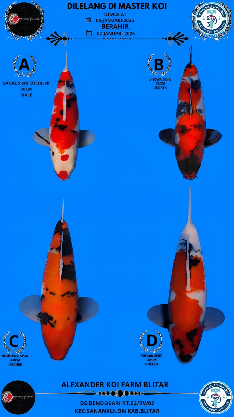 Lelang Koi Online, Jual Beli Ikan Koi, Pasar Koi Terbaik, Agen Lelang Koi, Penawaran Koi Berkualitas, Harga Jual Koi, Lelang Ikan Koi Import, Beli Koi Online, Jual Koi Murah, Koi Showroom, Penjual Koi Terpercaya, Lelang Koi Jakarta, Jual Koi Lokal, Koi Kualitas Unggul, Harga Terbaik Koi, Jual Koi Indukan, Lelang Ikan Hias Koi, Pasar Koi Indonesia, Beli Koi Berkualitas Tinggi, Koi Farm Terbesar, Jual Beli Koi Impor, Lelang Ikan Koi Kualitas Premium, Daftar Harga Koi Terbaru, Pusat Jual Beli Koi, Info Lelang Koi Hari Ini.