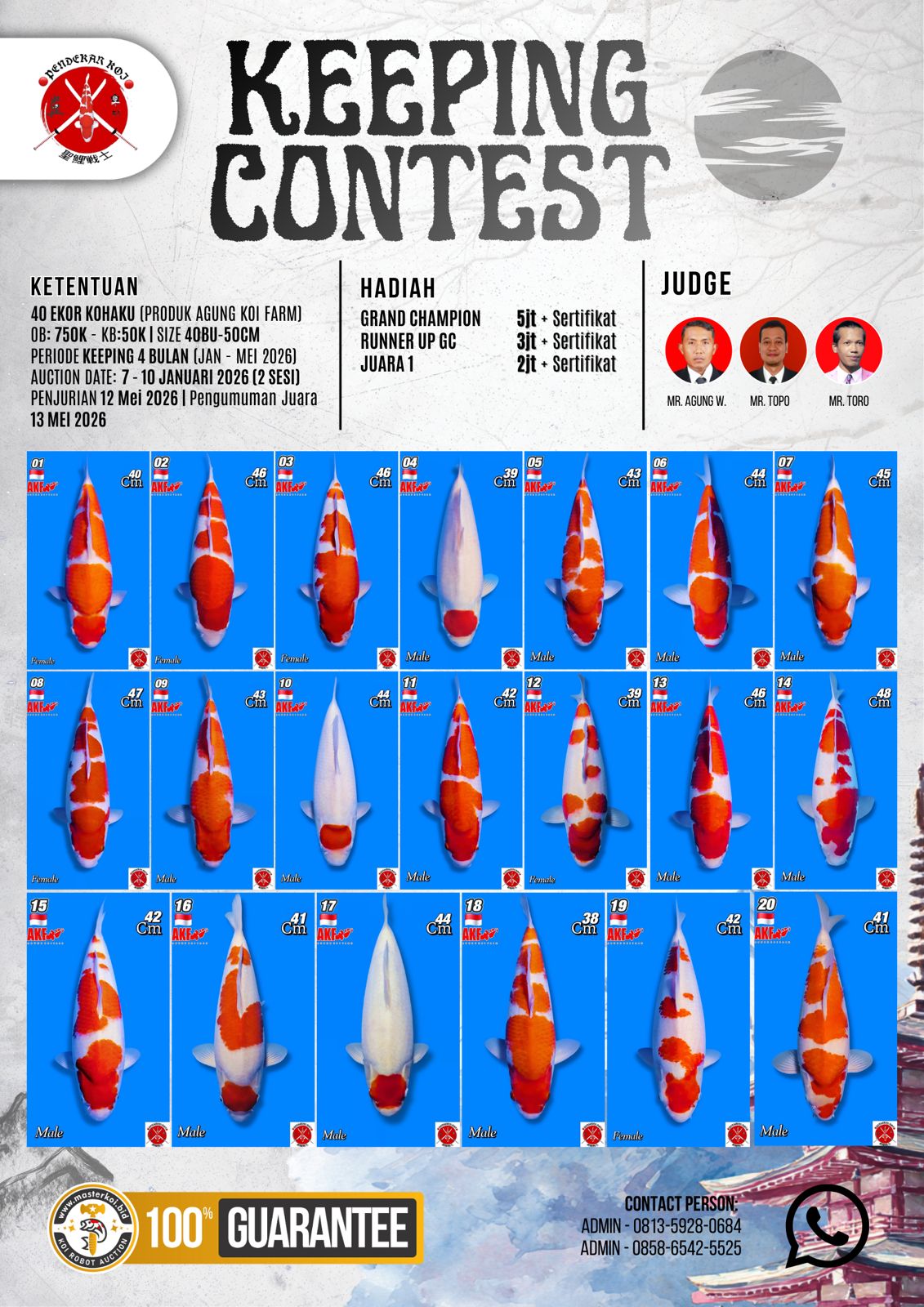 Lelang Koi Online, Jual Beli Ikan Koi, Pasar Koi Terbaik, Agen Lelang Koi, Penawaran Koi Berkualitas, Harga Jual Koi, Lelang Ikan Koi Import, Beli Koi Online, Jual Koi Murah, Koi Showroom, Penjual Koi Terpercaya, Lelang Koi Jakarta, Jual Koi Lokal, Koi Kualitas Unggul, Harga Terbaik Koi, Jual Koi Indukan, Lelang Ikan Hias Koi, Pasar Koi Indonesia, Beli Koi Berkualitas Tinggi, Koi Farm Terbesar, Jual Beli Koi Impor, Lelang Ikan Koi Kualitas Premium, Daftar Harga Koi Terbaru, Pusat Jual Beli Koi, Info Lelang Koi Hari Ini.